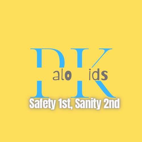 An abstract graphic design with the words "Dads" and "Kids" distorted and layered, with a slogan "Safety 1st, Sanity 2nd" at the bottom, all on a yellow background.