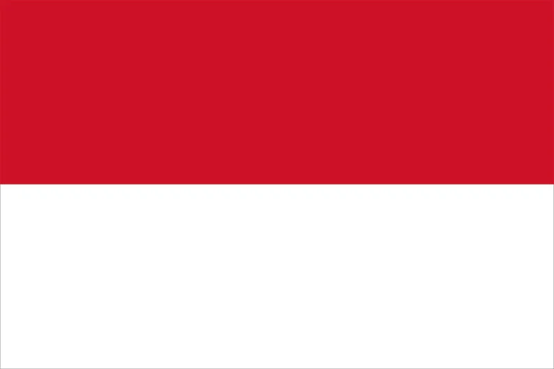 Flag-Indonesia.jpg