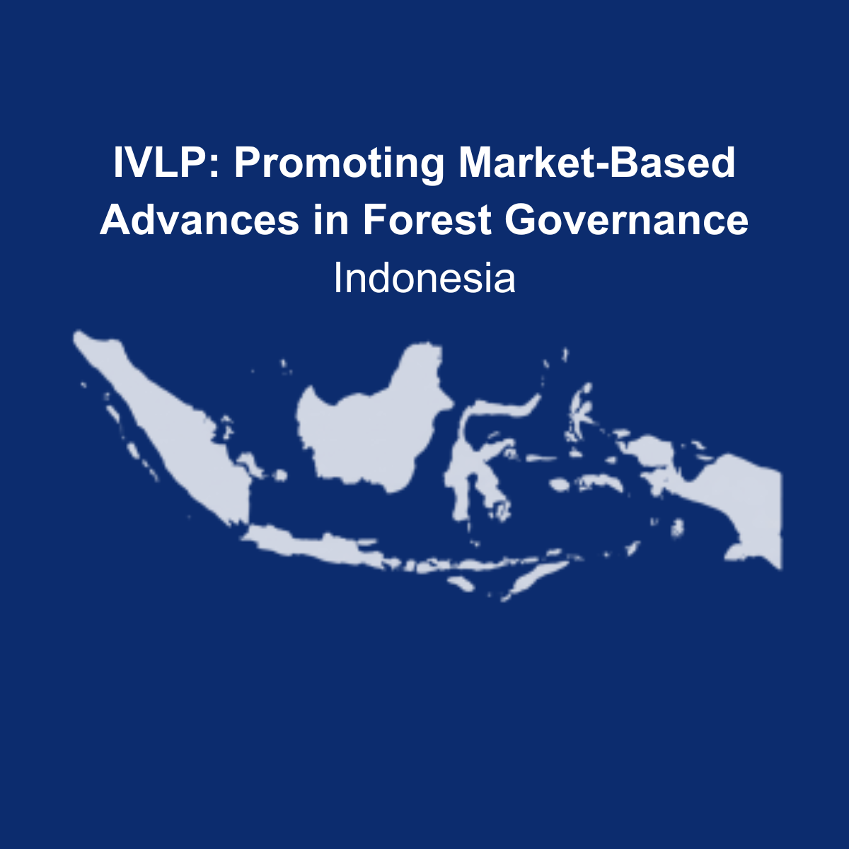 IVLP: Promoting Market-Based Advances in Forest Governance