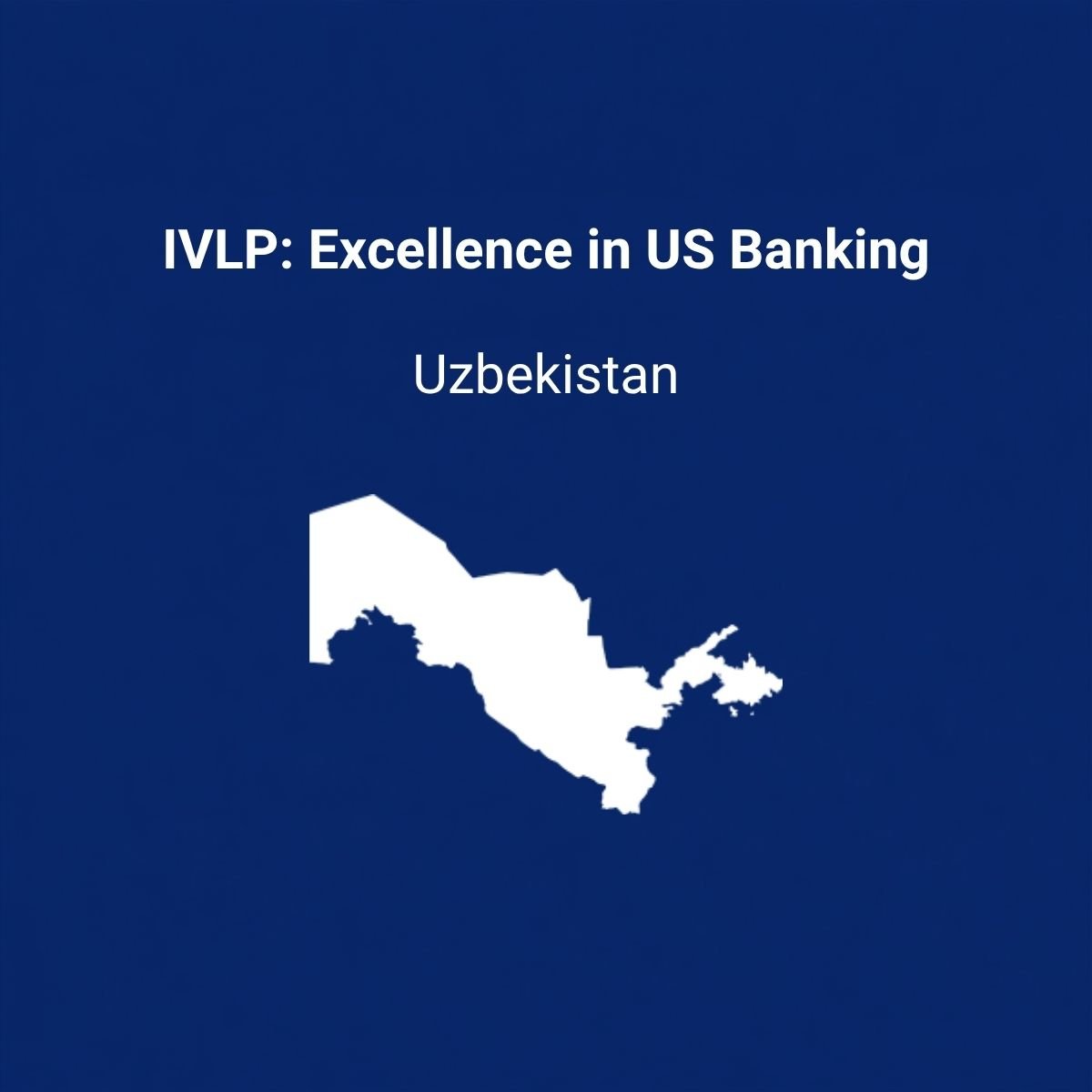 IVLP: Excellence in U.S. Banking