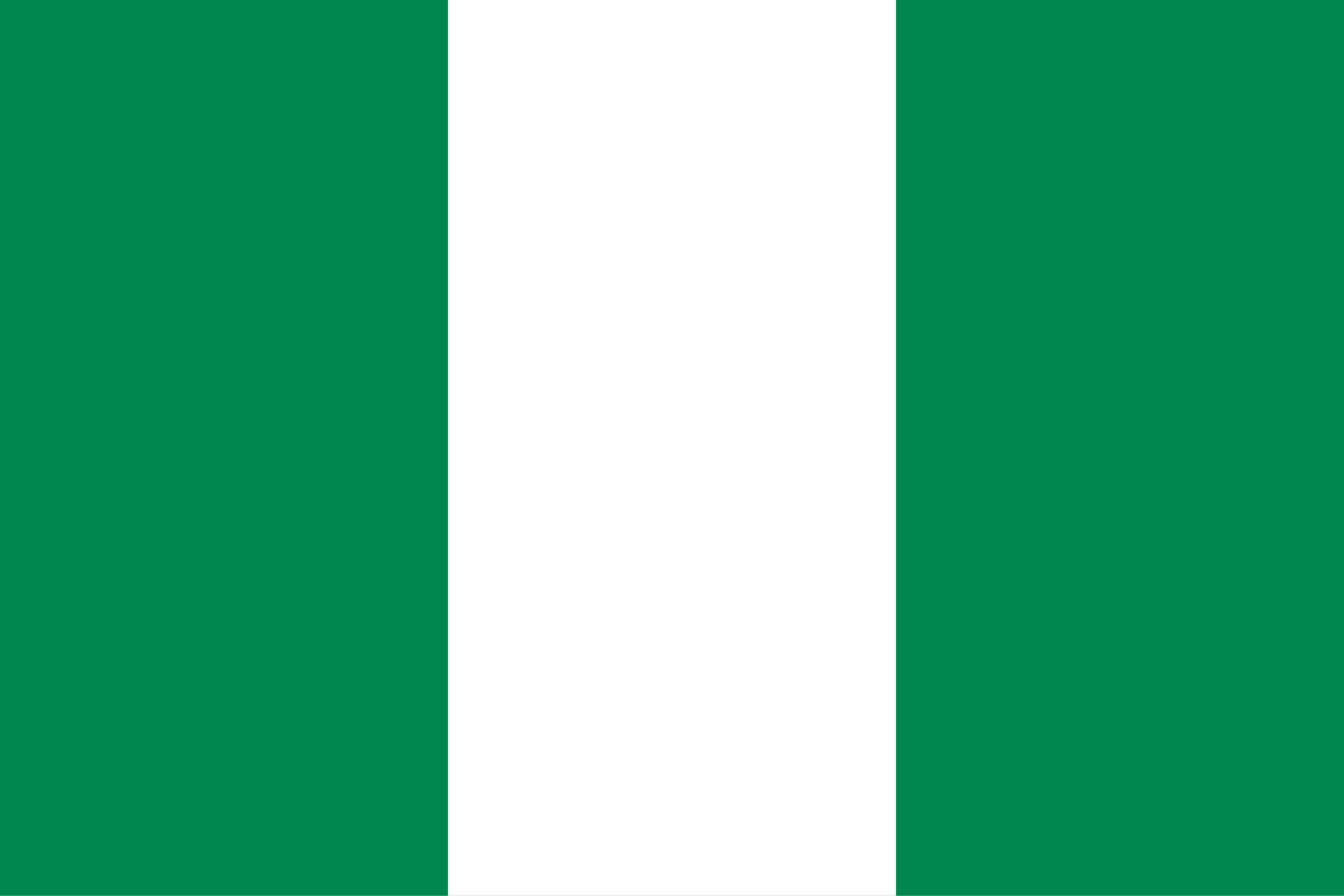 Flag_of_Nigeria_(3-2).svg.png