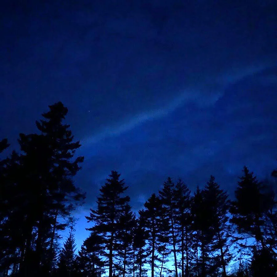 Mother Nature Comes to Me