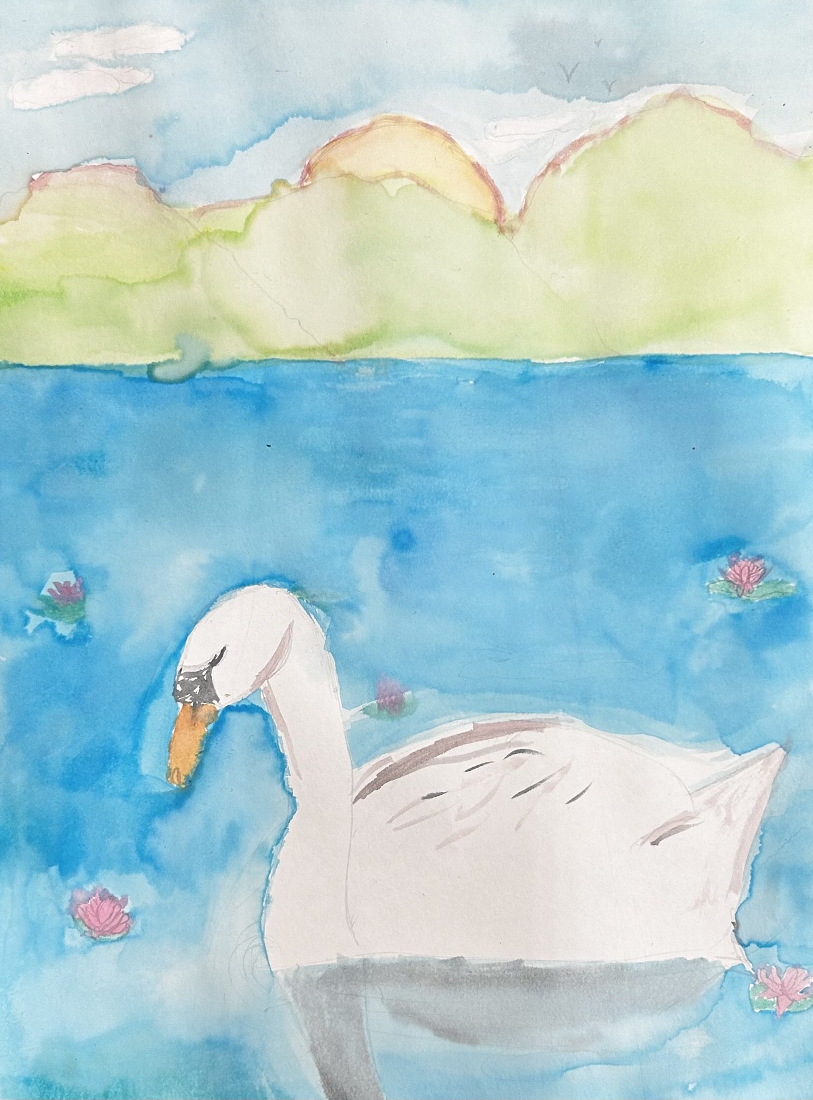 Swimming Swan