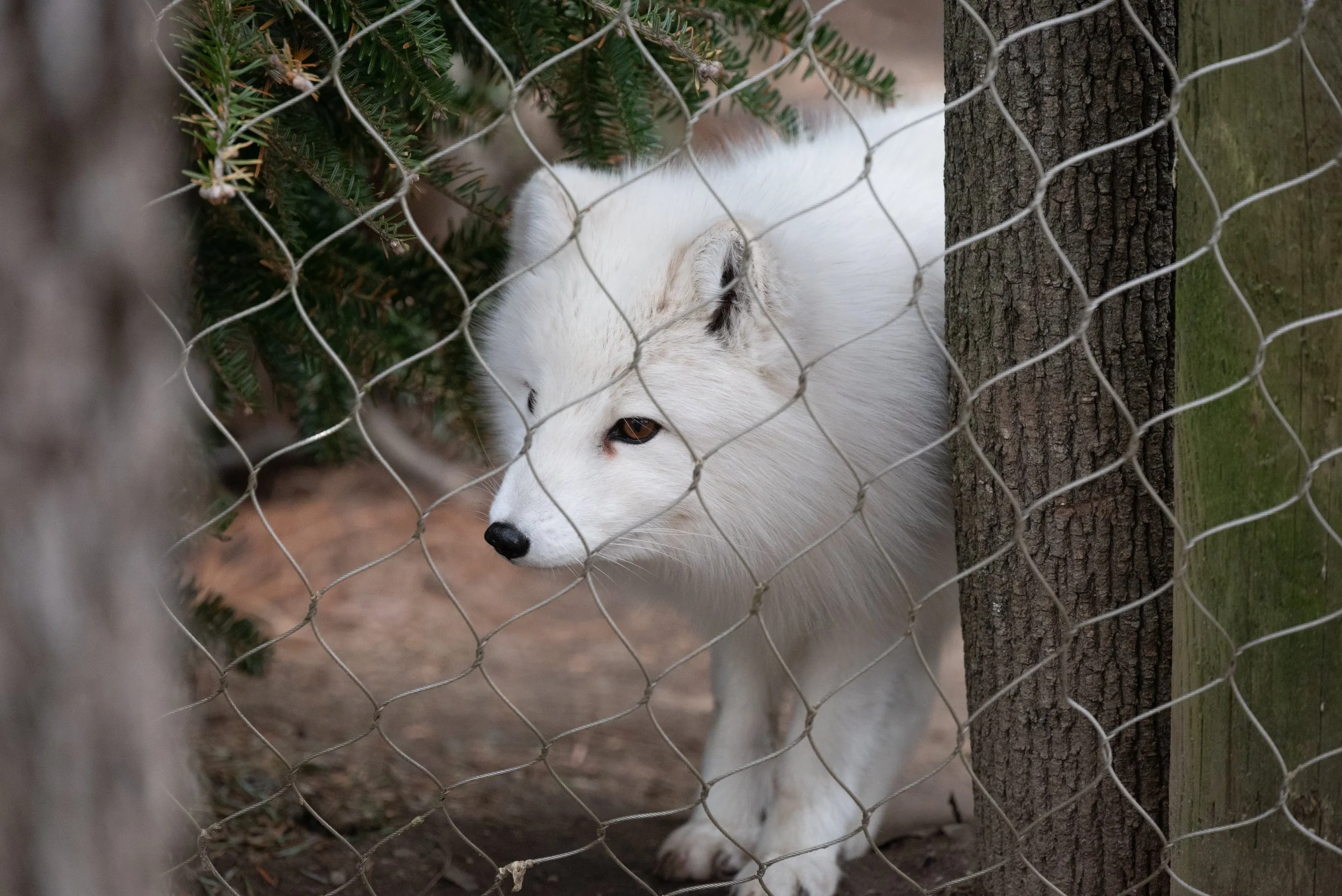 DSC_0535.jpg