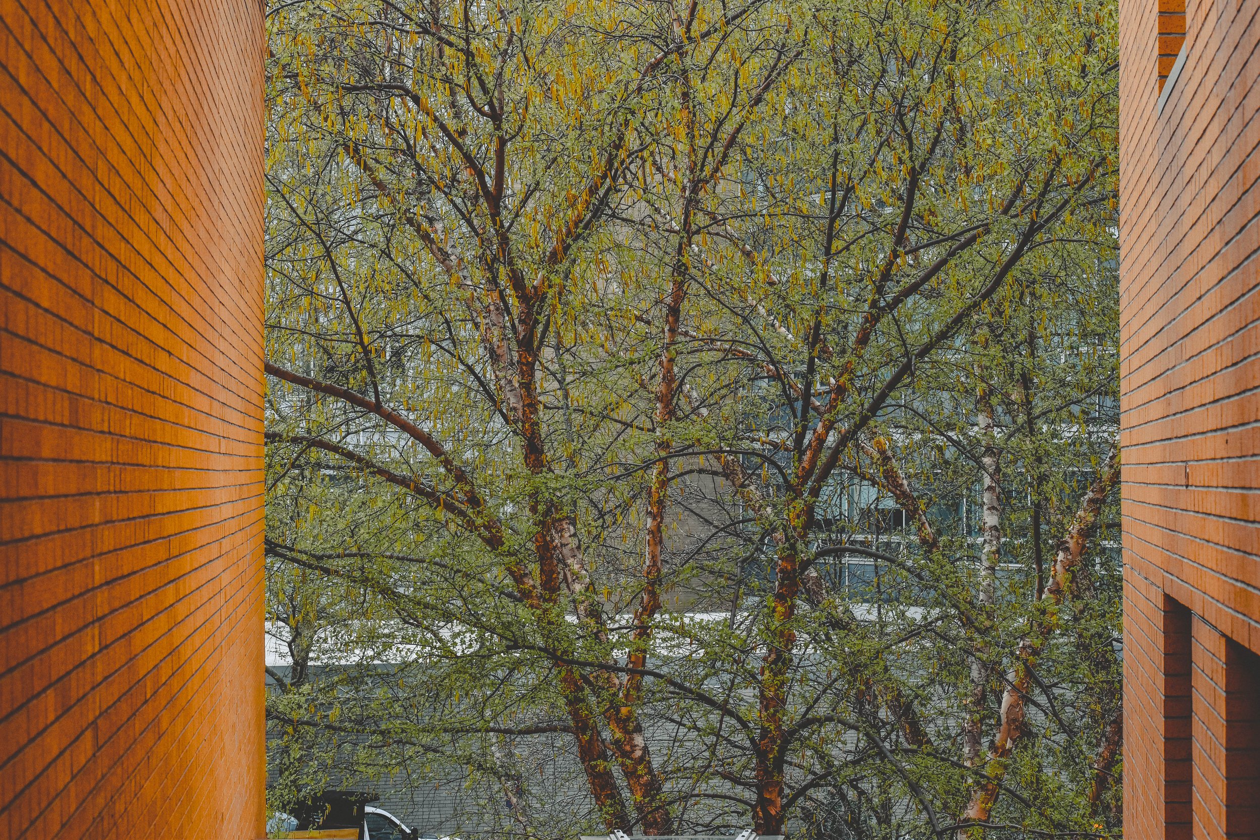 4_DSC_0127.jpg
