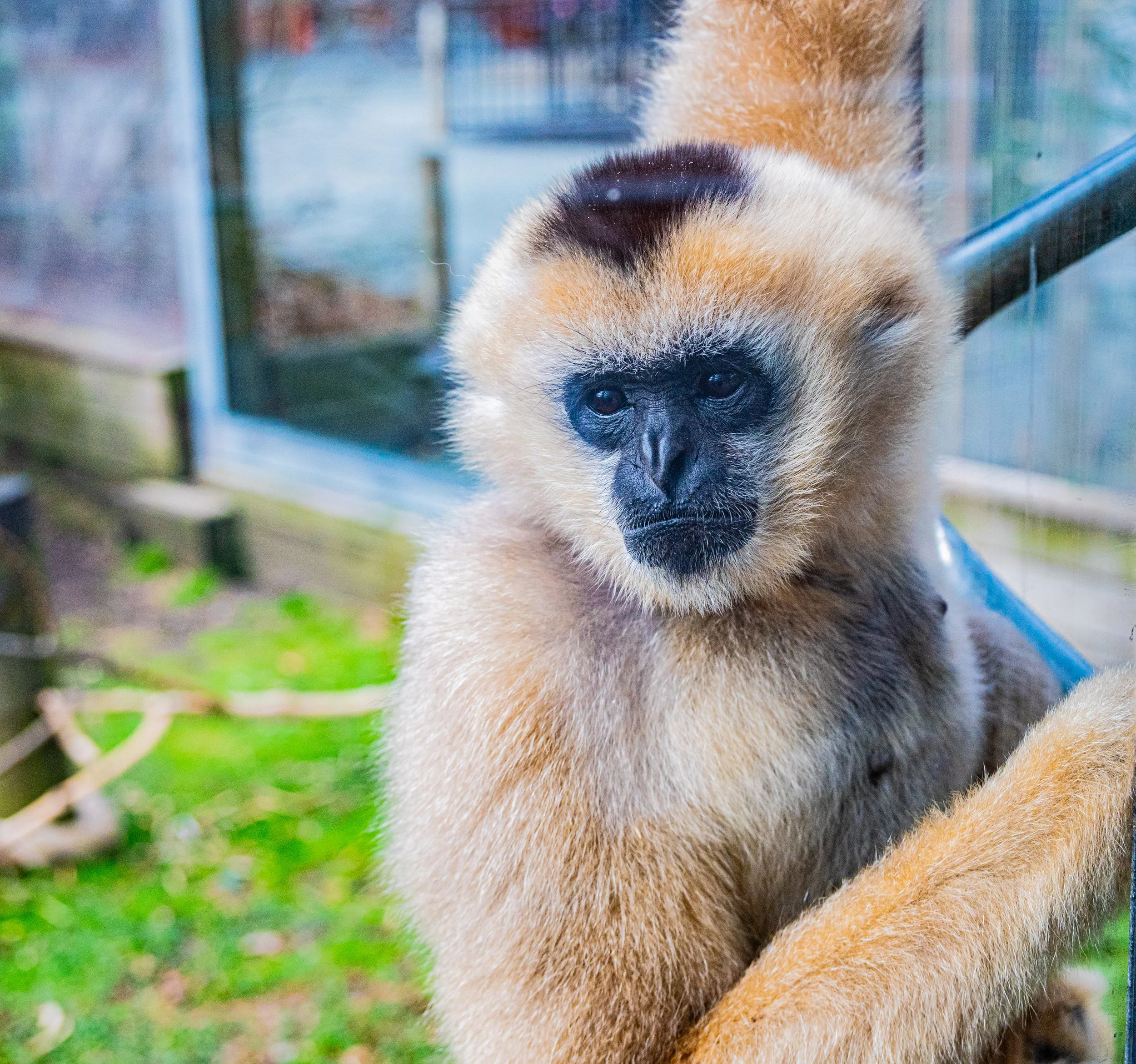 zoo 10.jpg