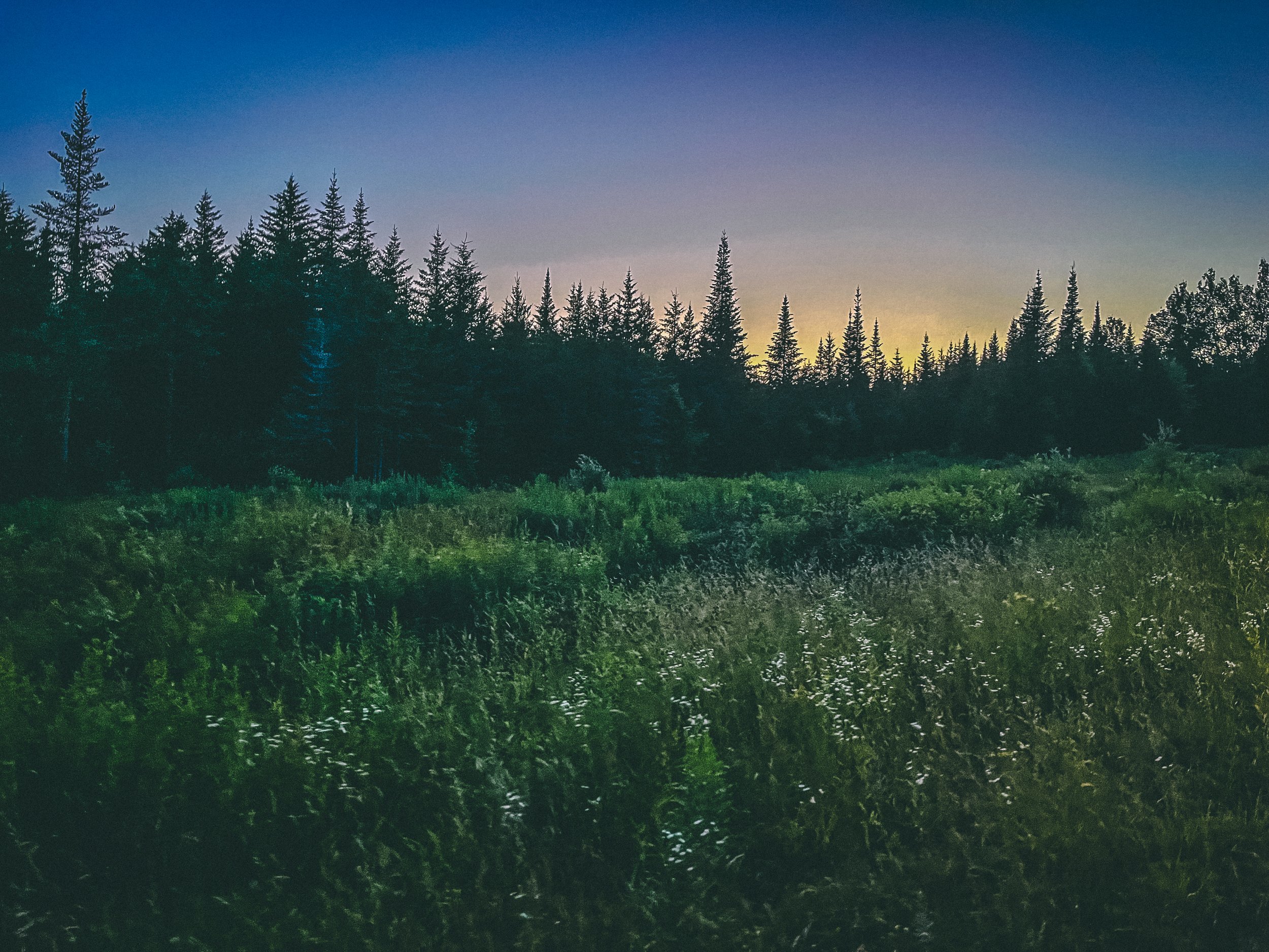 2_IMG_1247-2 copy.jpg