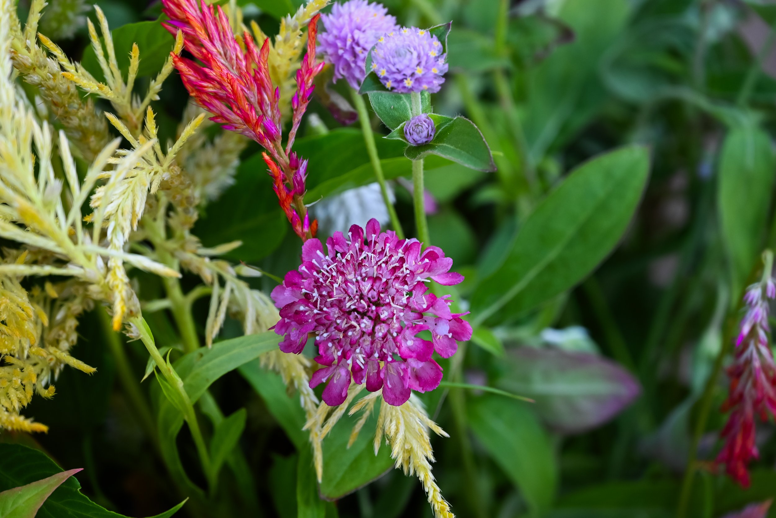 10_DSC_0064.jpg