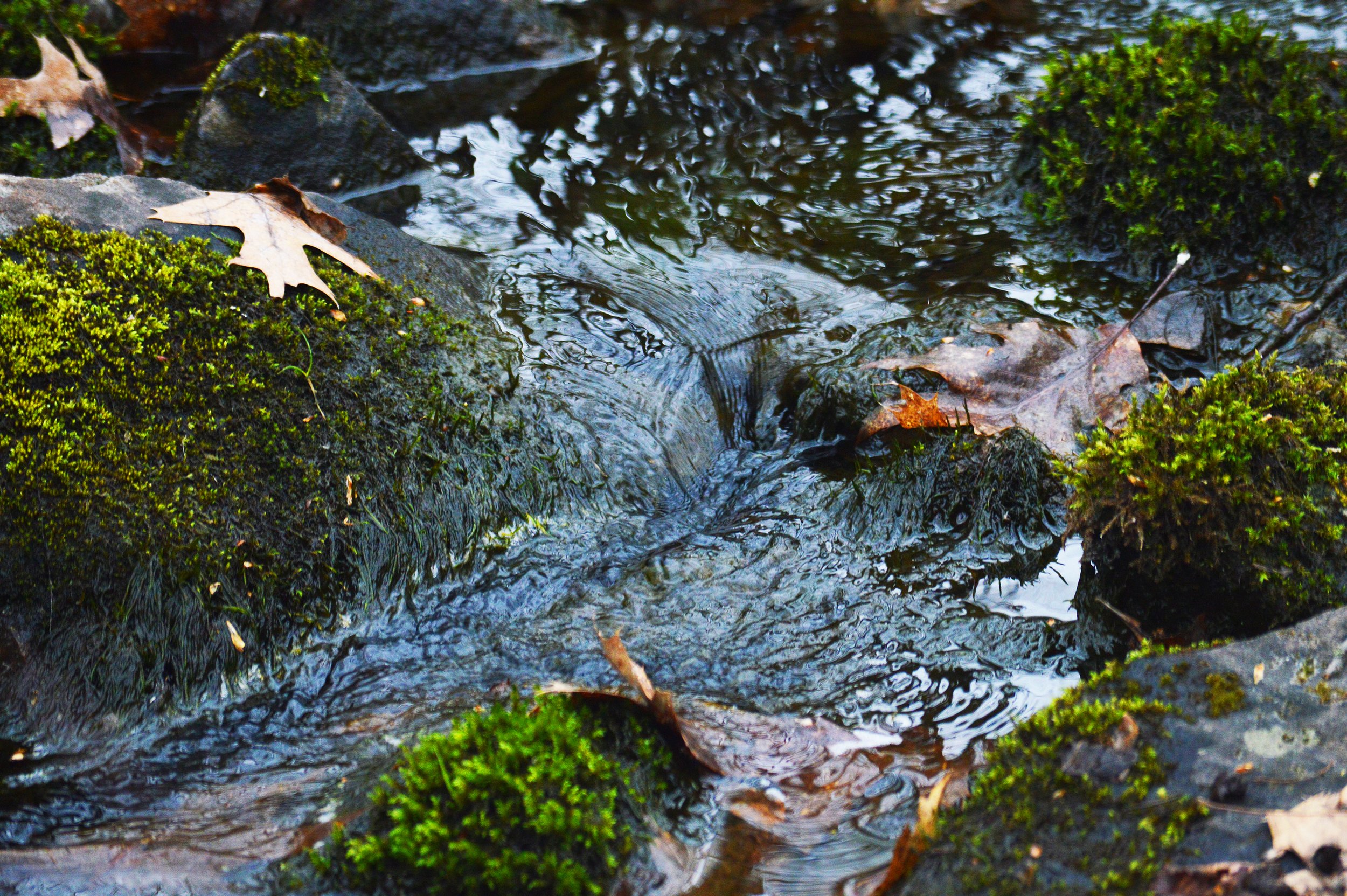 DSC_0017 copy.jpg