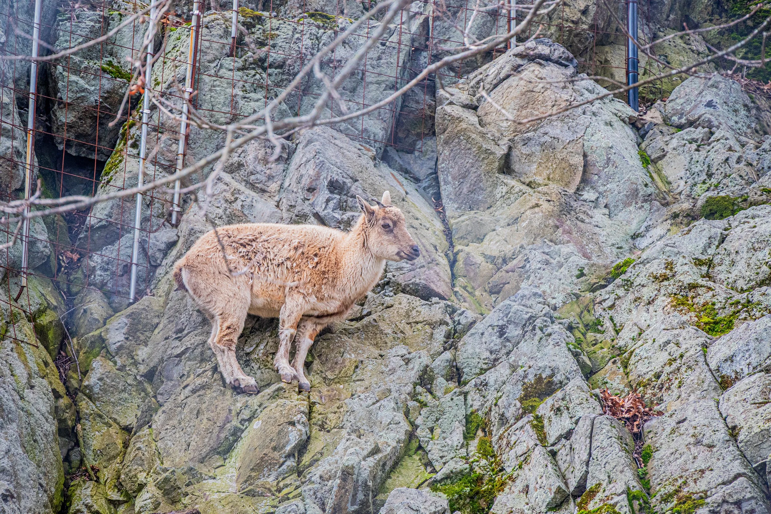 zoo 14.jpg