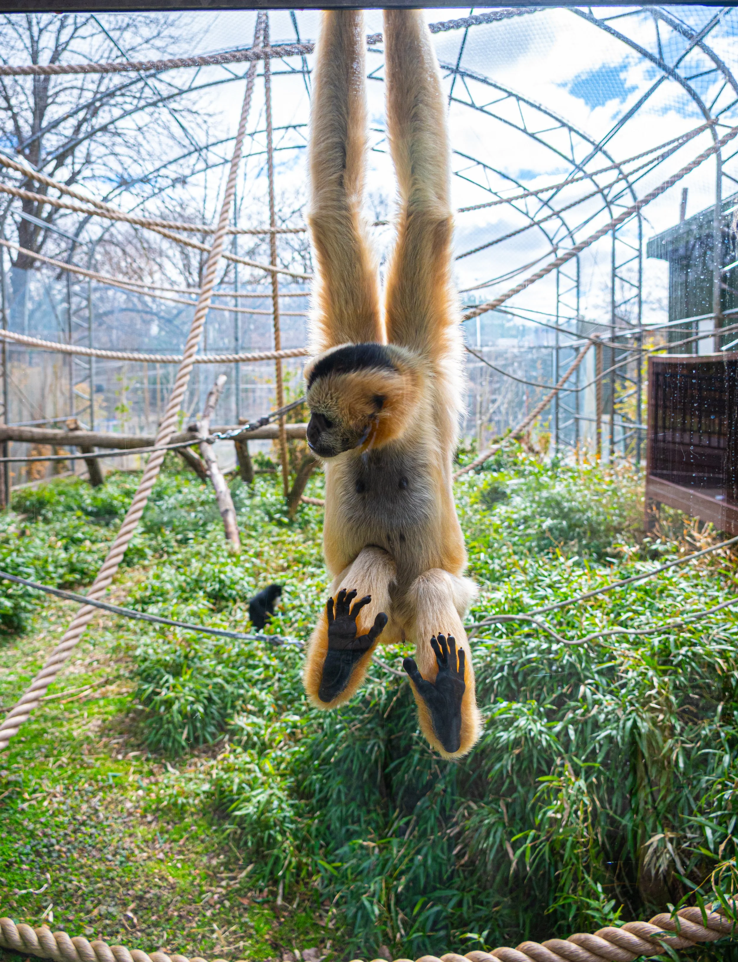 zoo 7.jpg