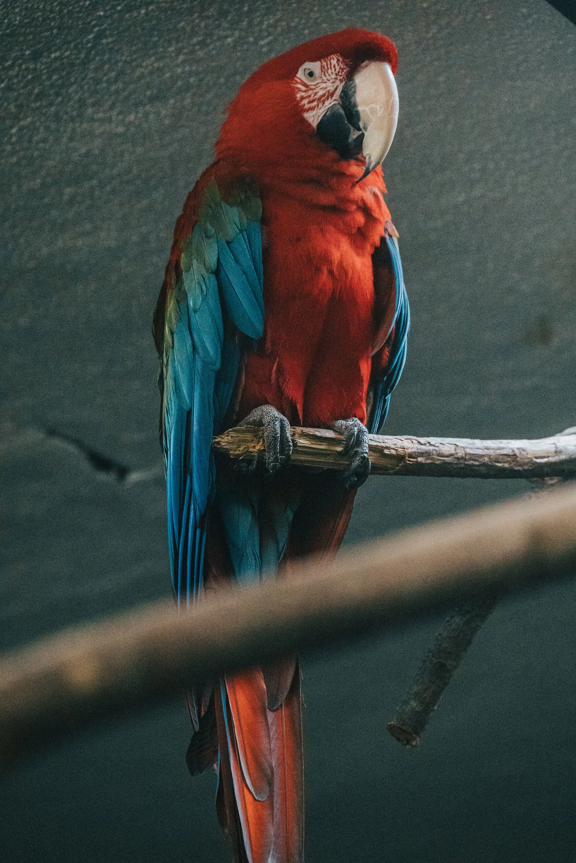 DSC_0596.jpg