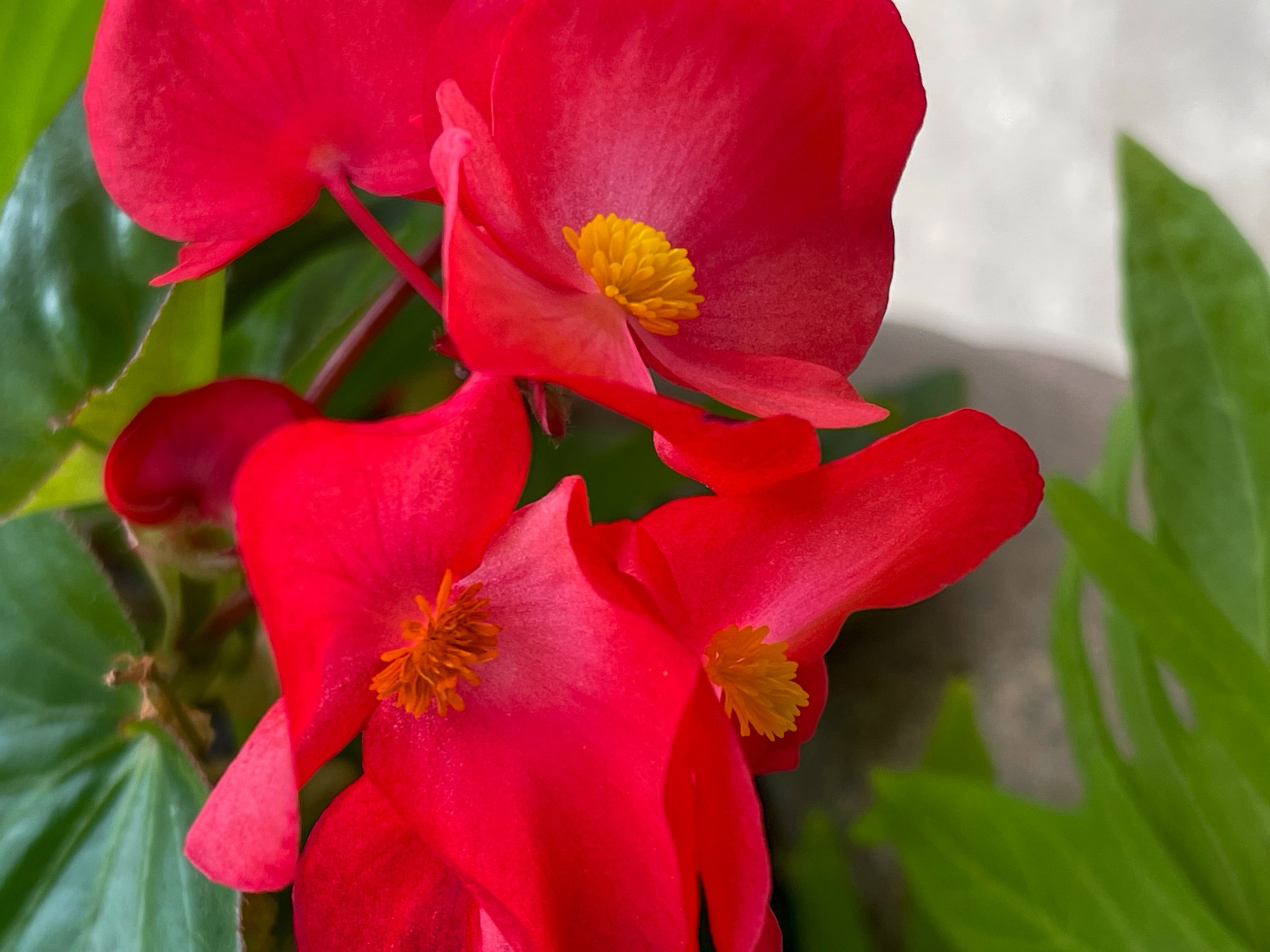 File_030.jpg