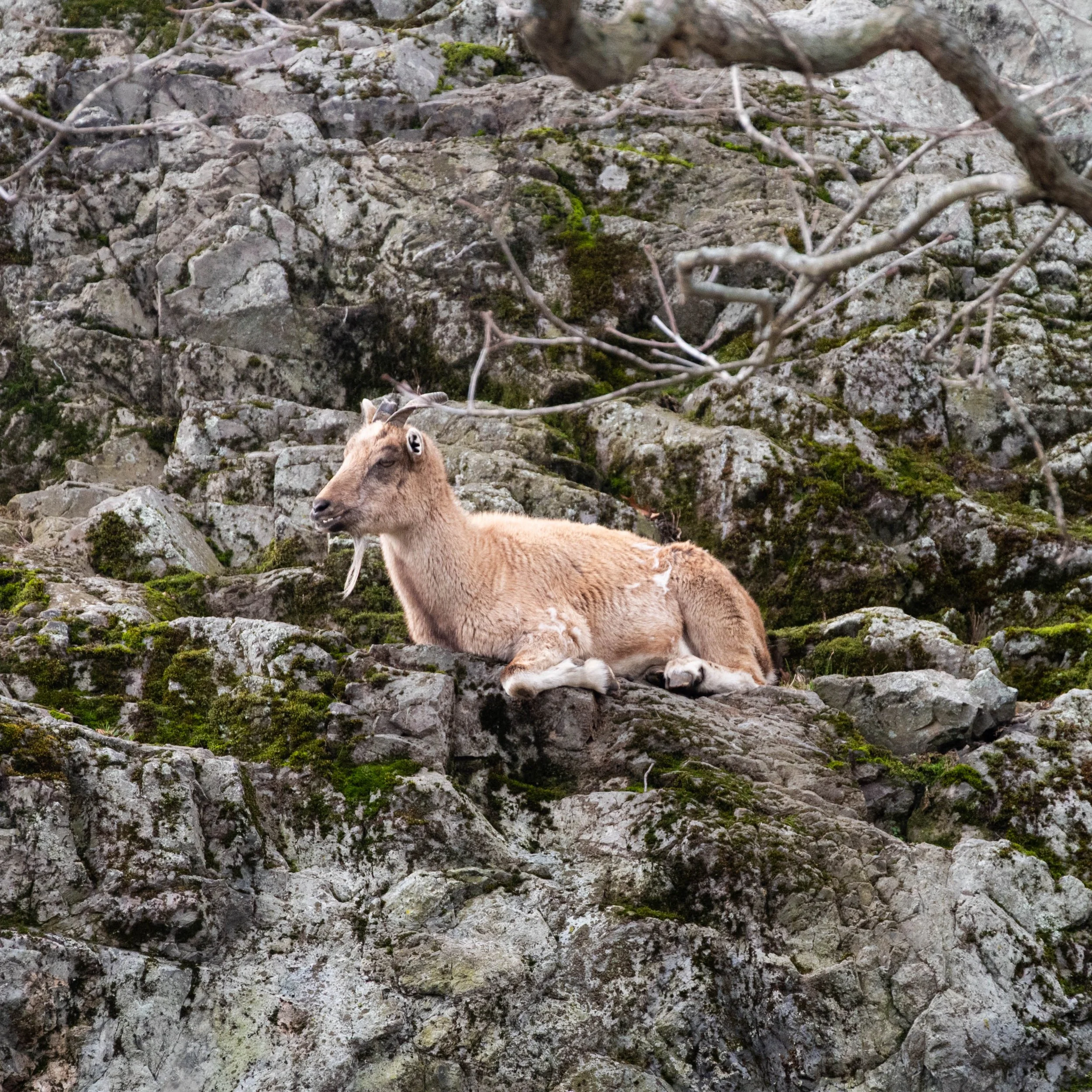 DSC_6372.jpg