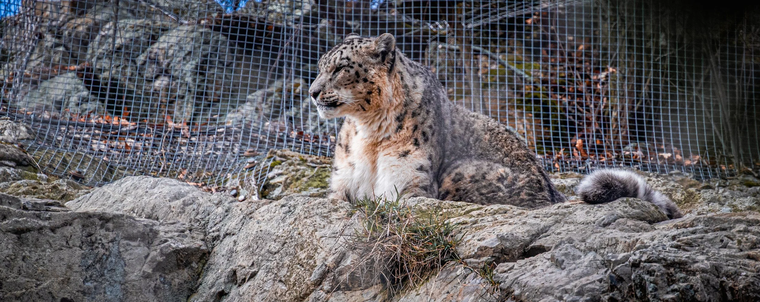 DSC_0601-3.jpg