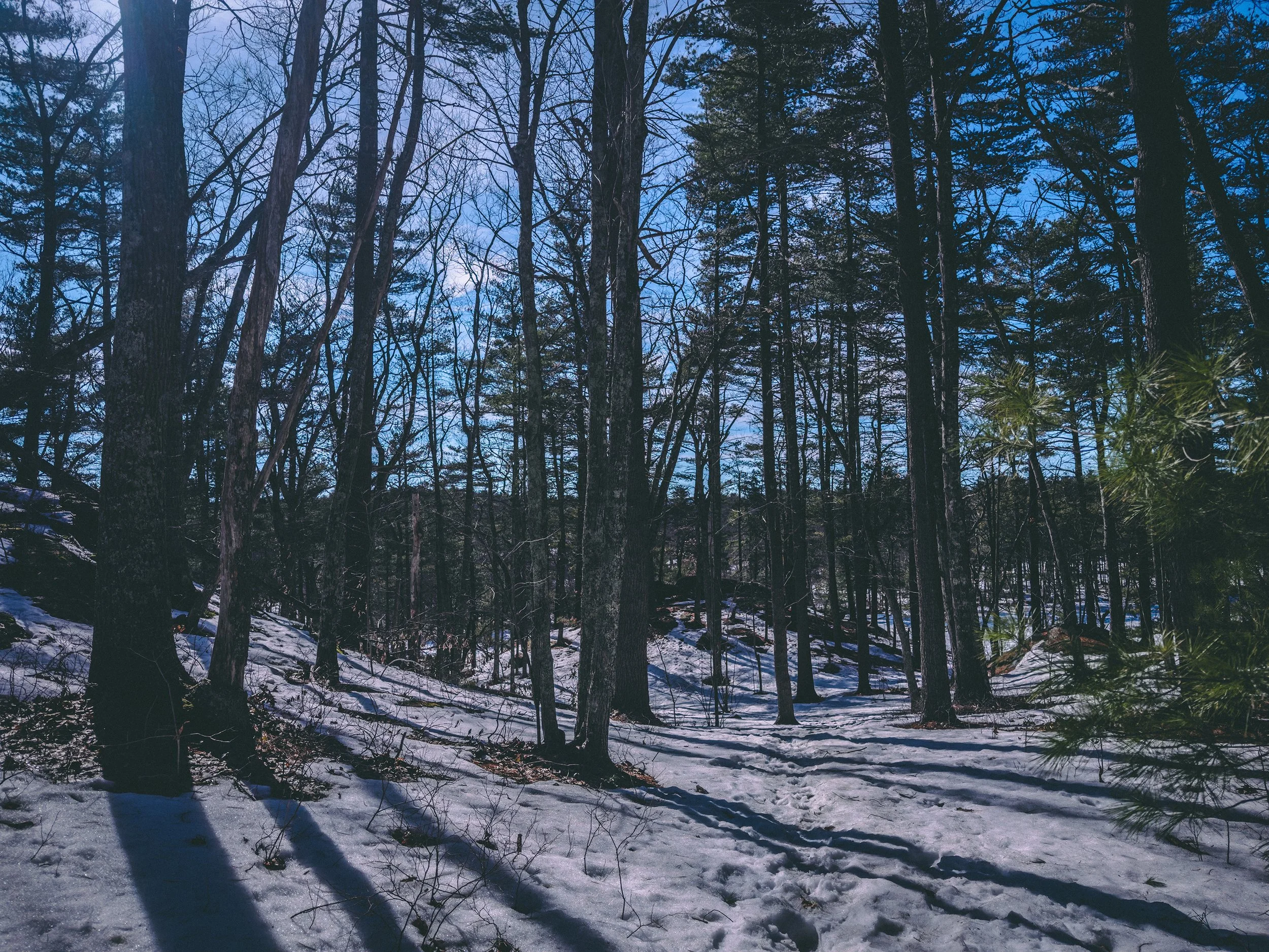 IMG_8819.jpg