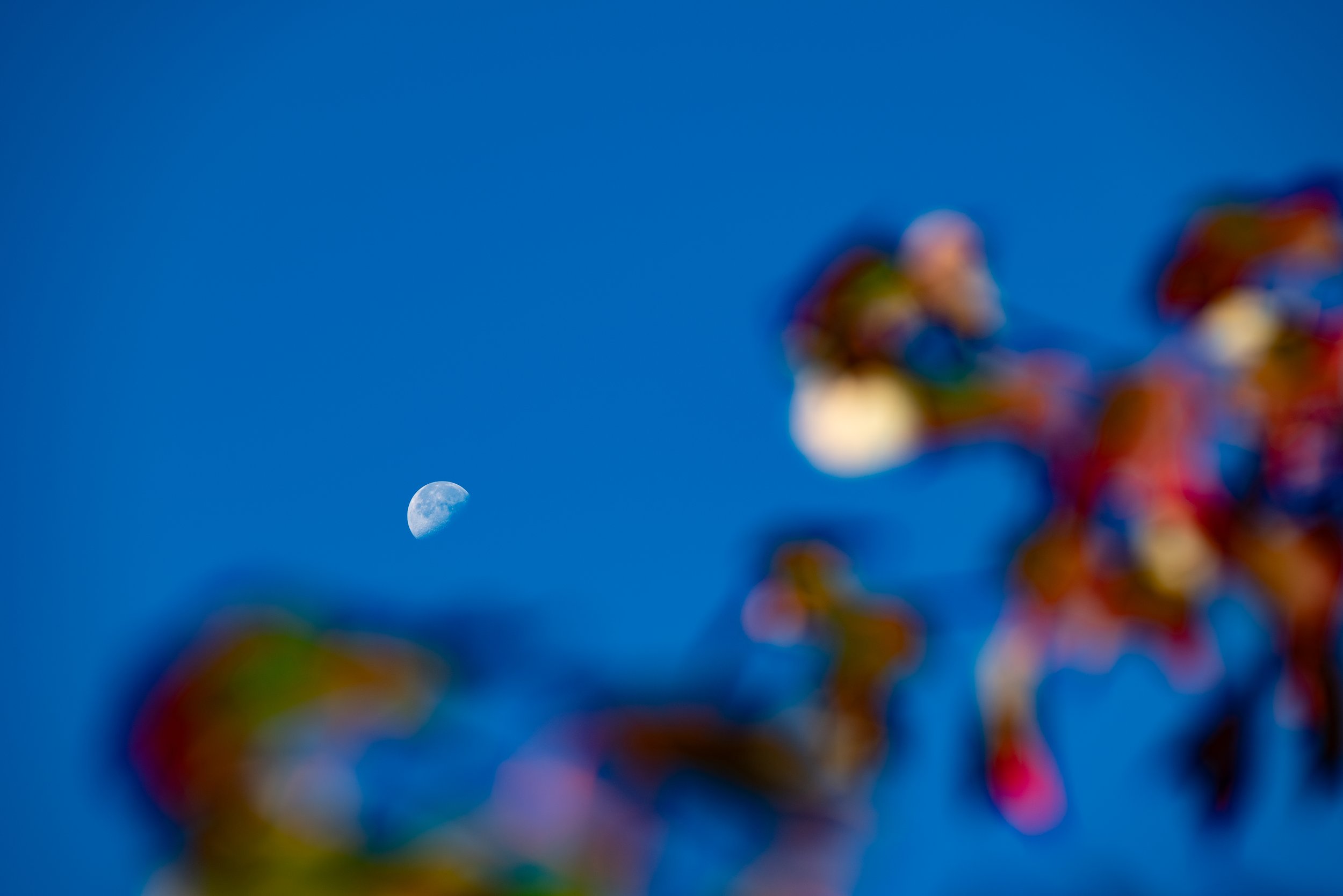 2 DSC_1033.jpg