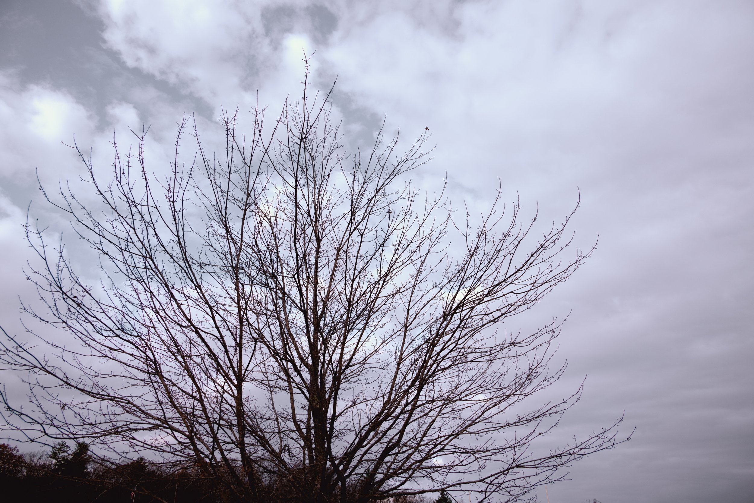28_DSC_1228.jpg
