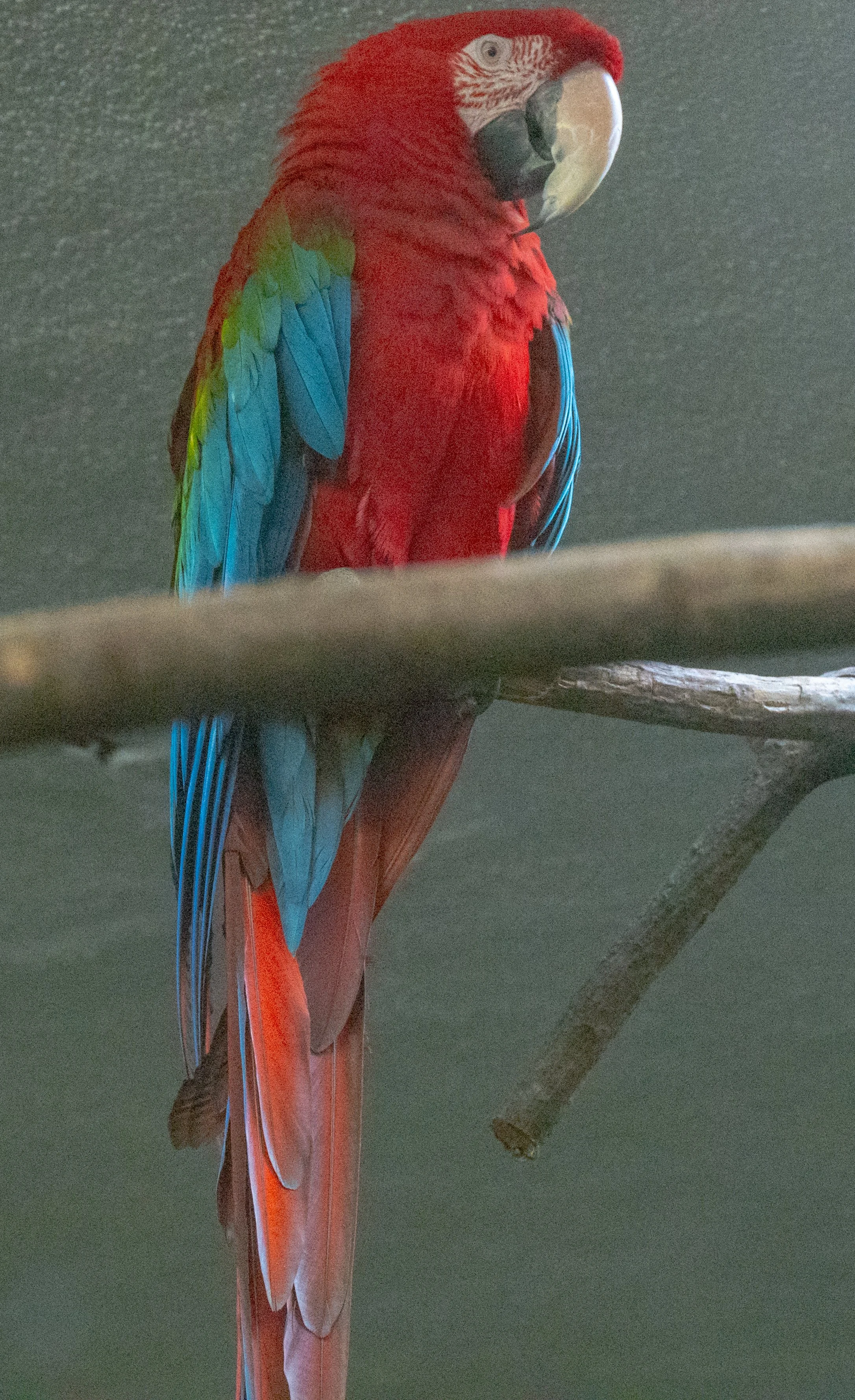 DSC_3599.jpg