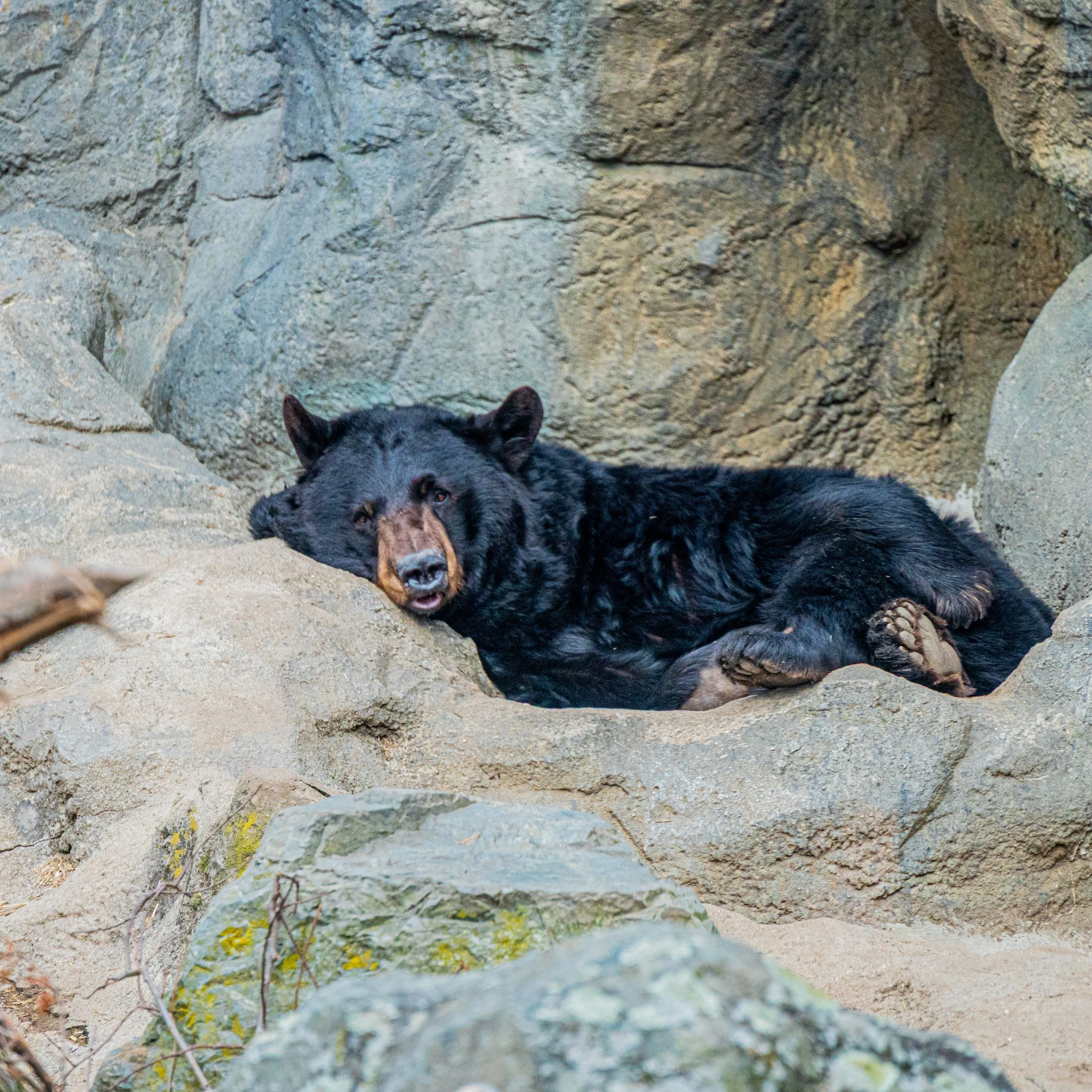 zoo 18.jpg