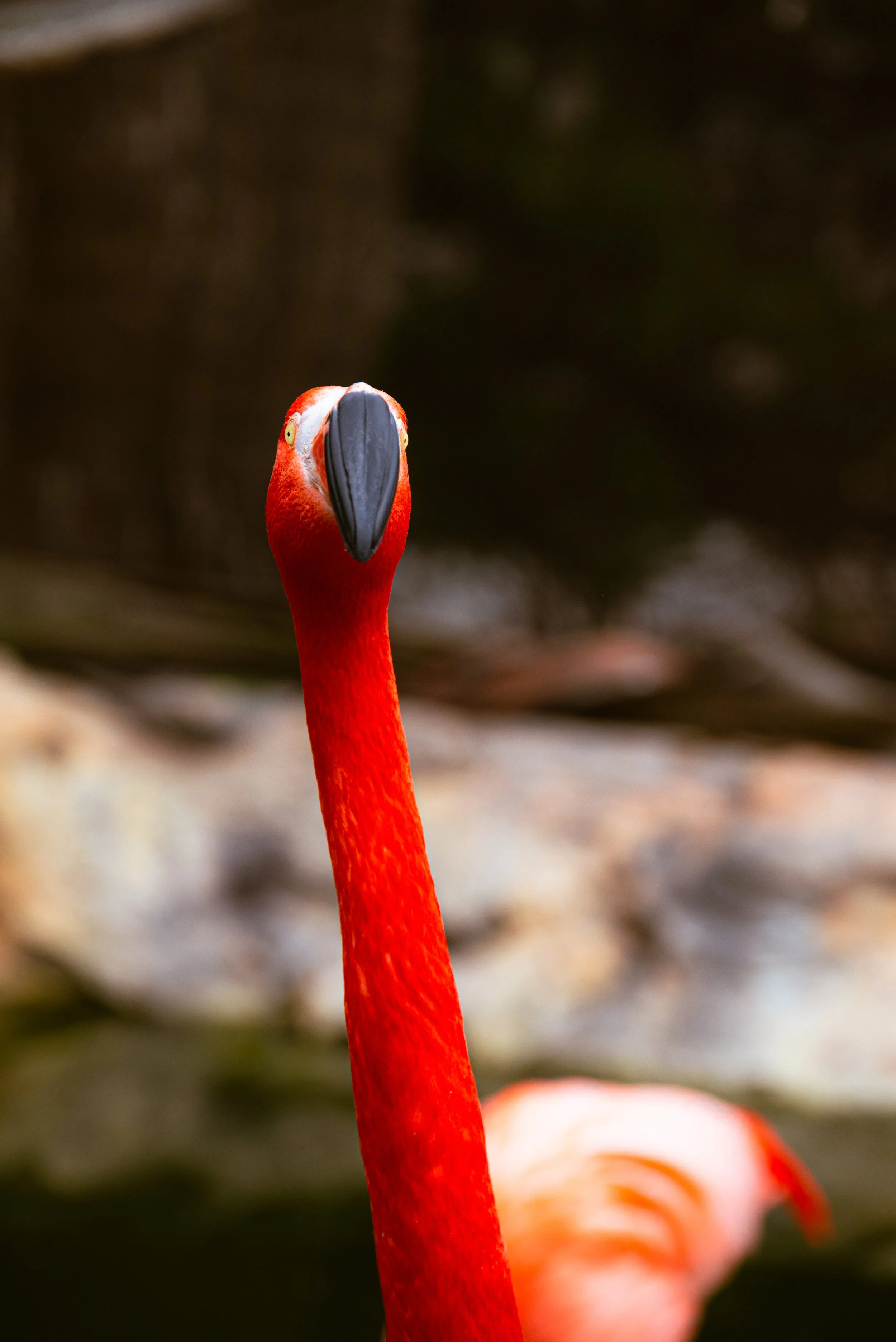 DSC_0666-2.jpg