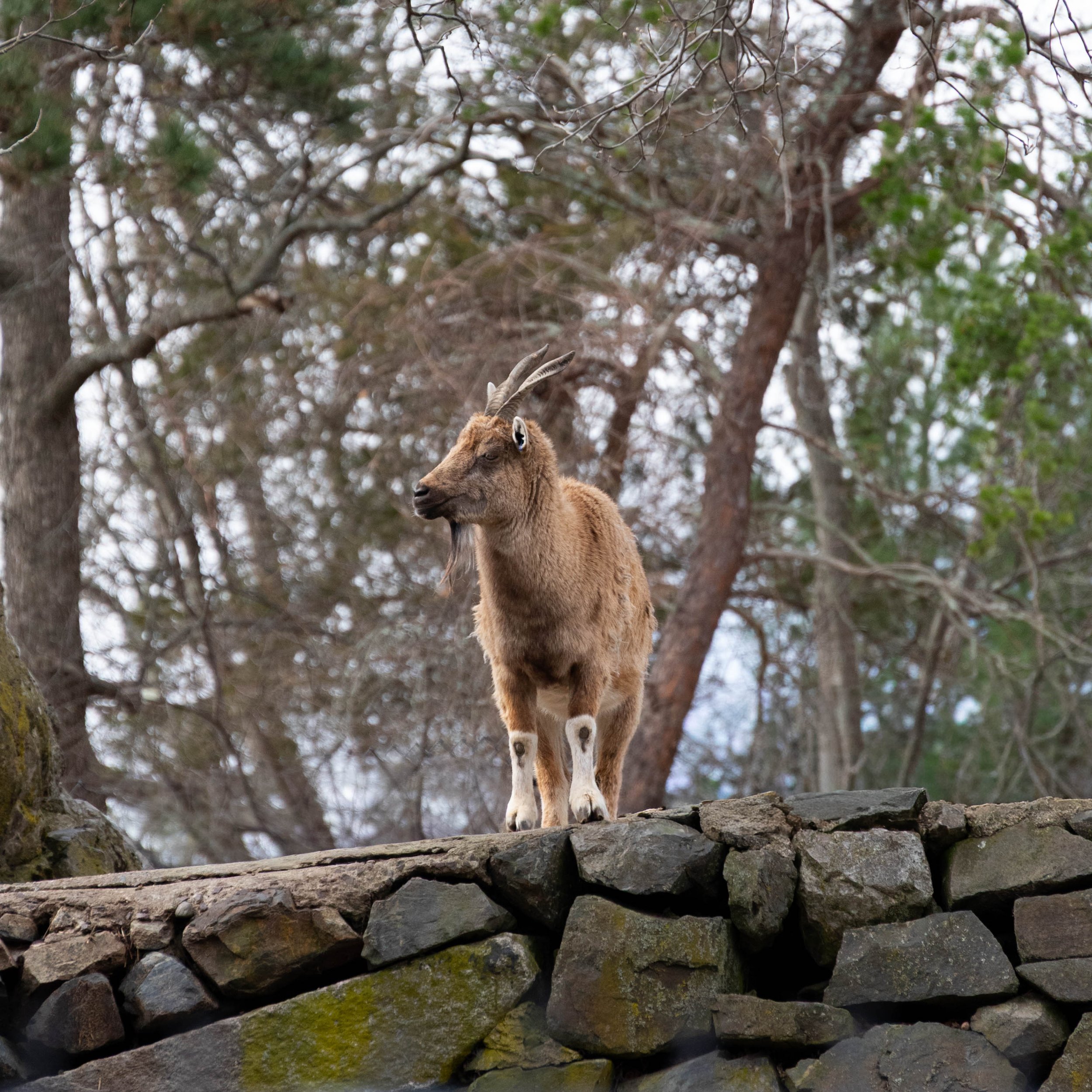 DSC_6376.jpg