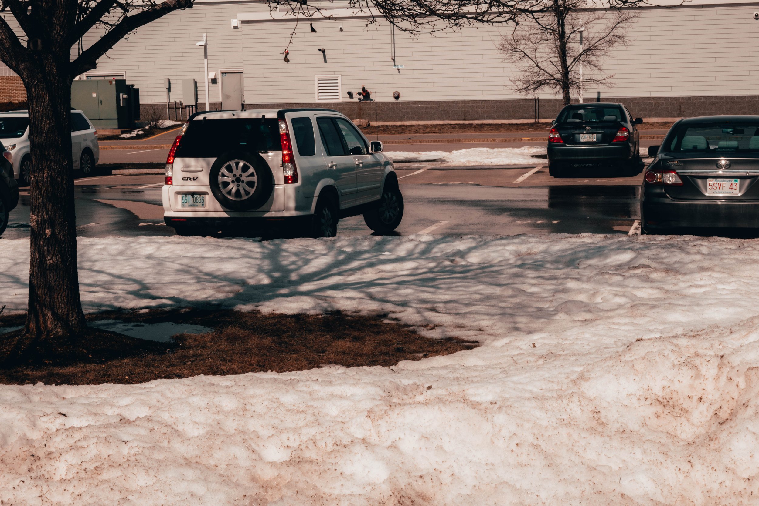 DSC_8296-2.jpg