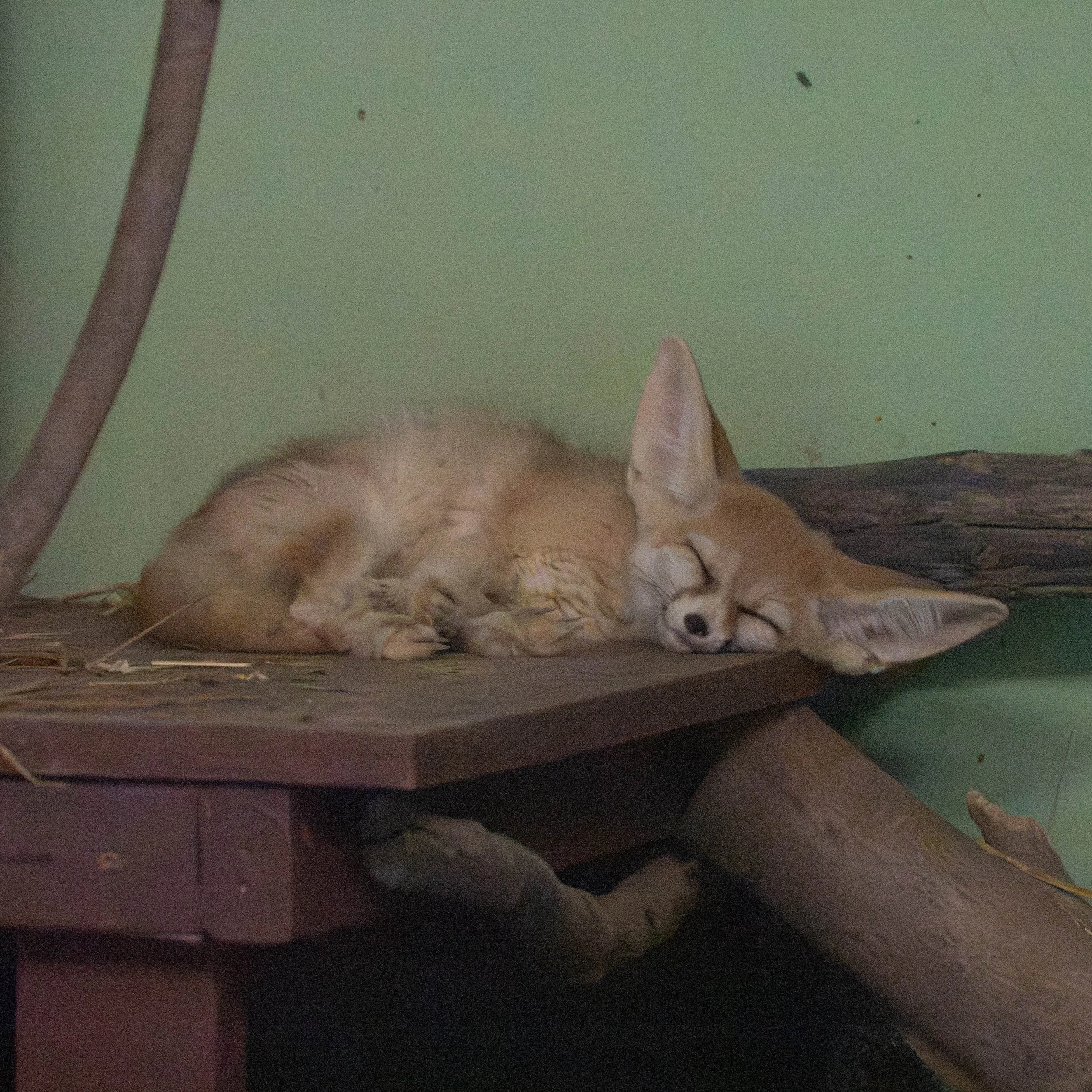 DSC_6280.jpg