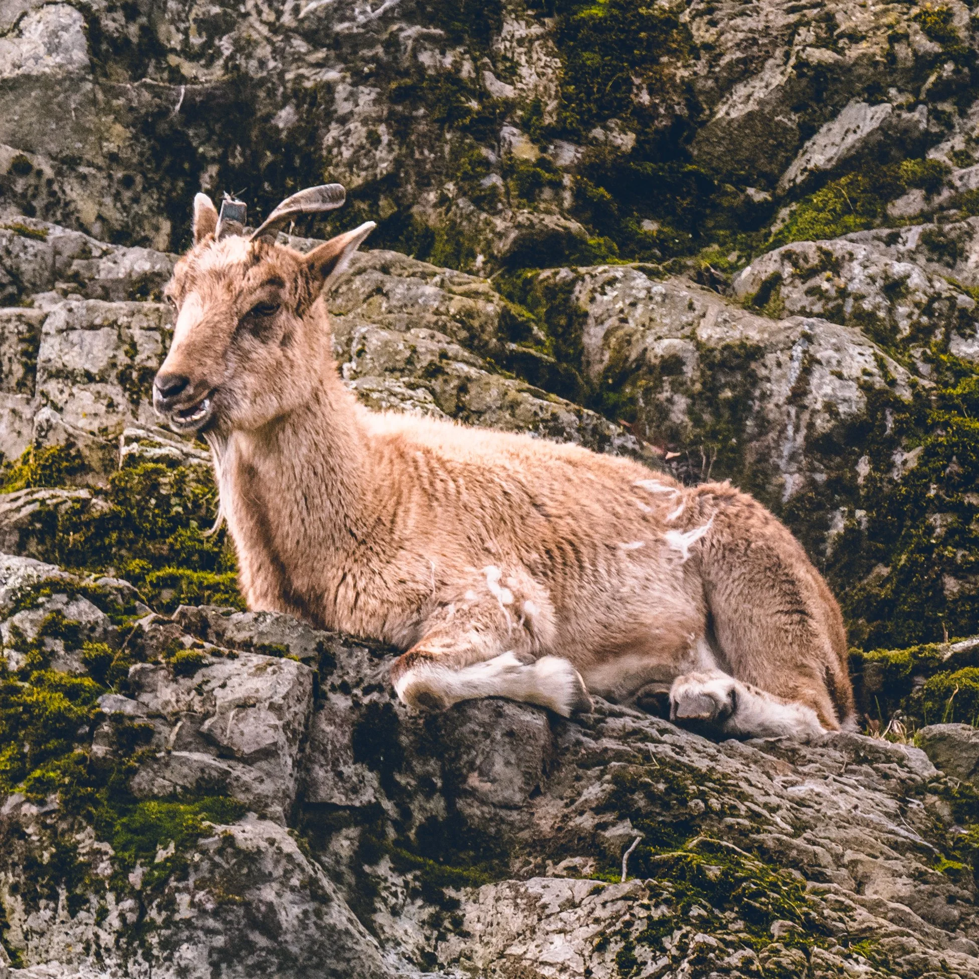 DSC_3814.jpg