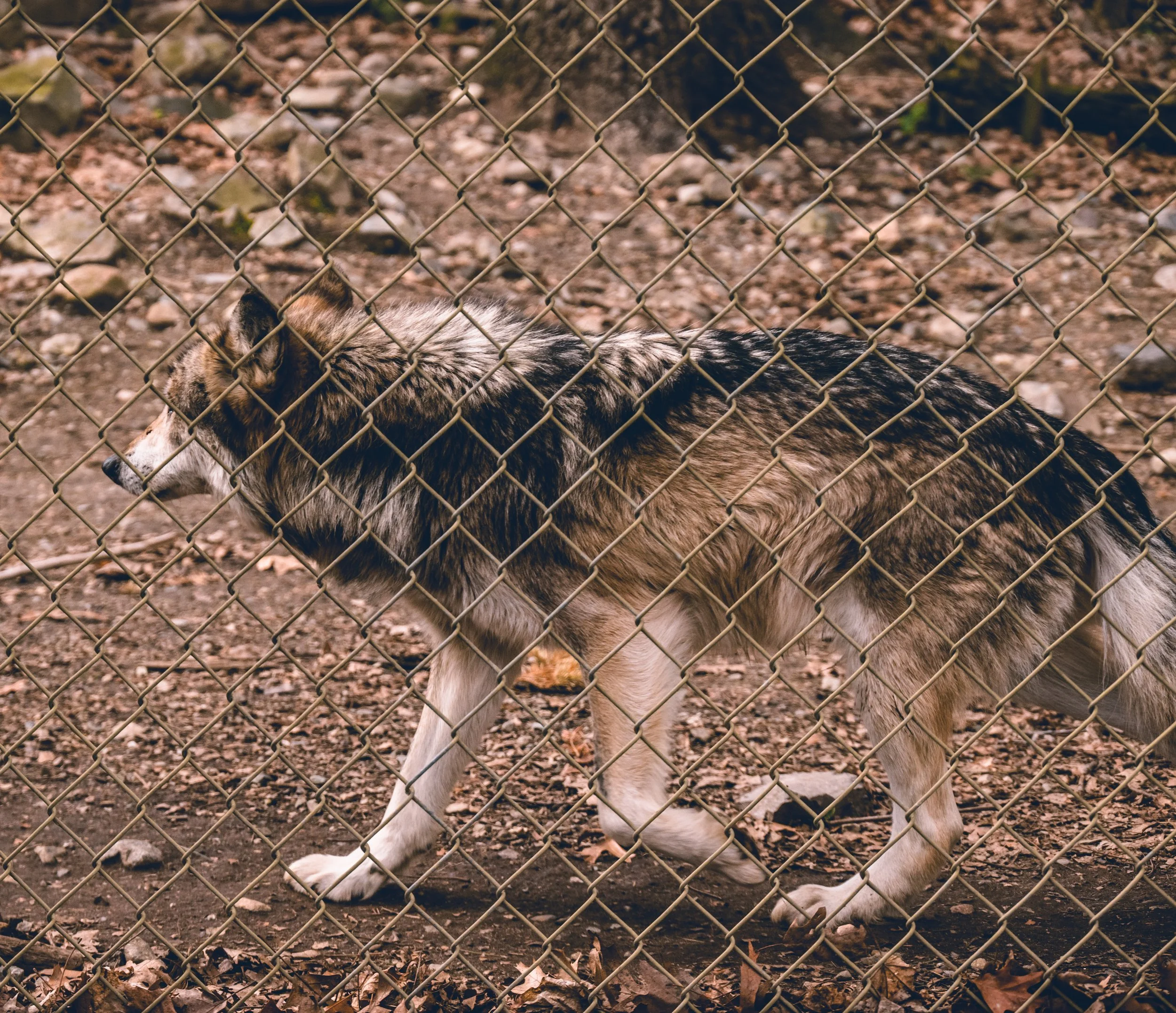 DSC_3885.jpg