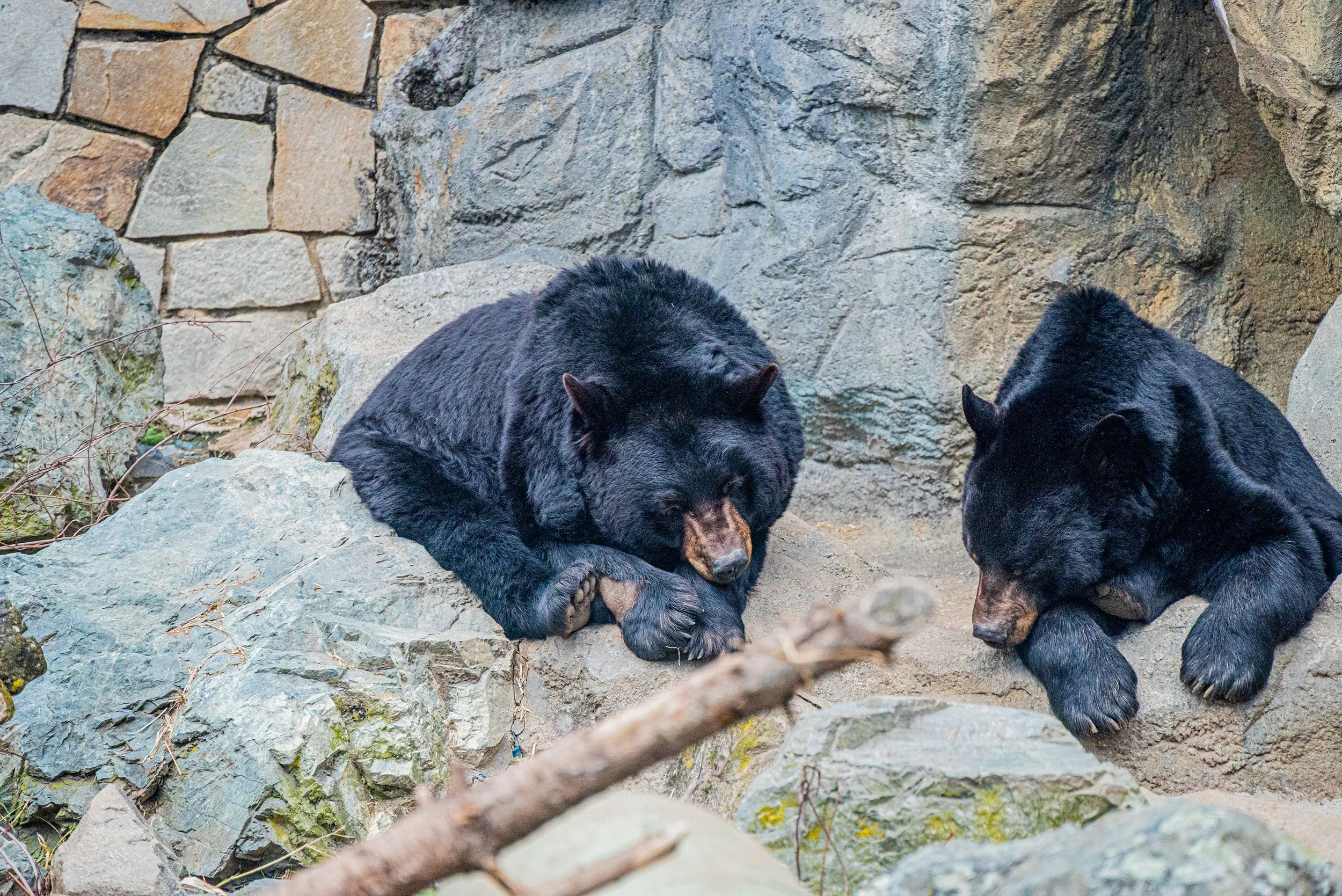 zoo 20.jpg