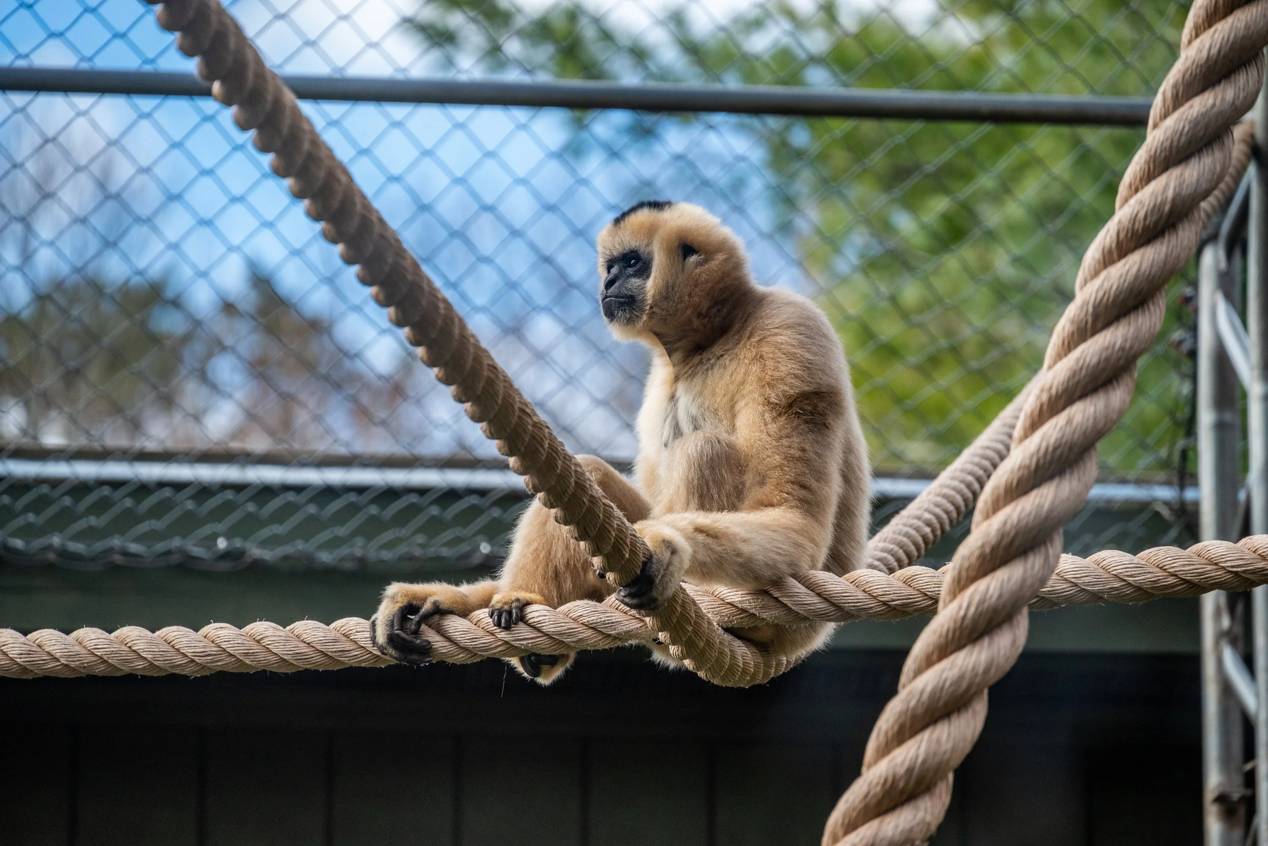 DSC_0583-2.jpg