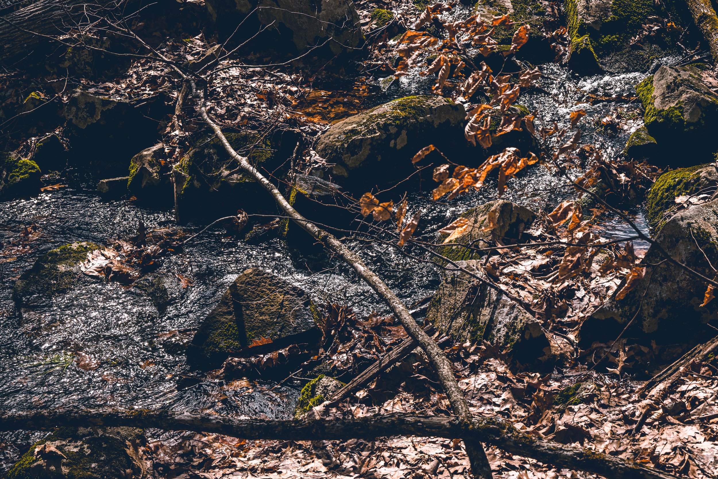 DSC_0160-3.jpg