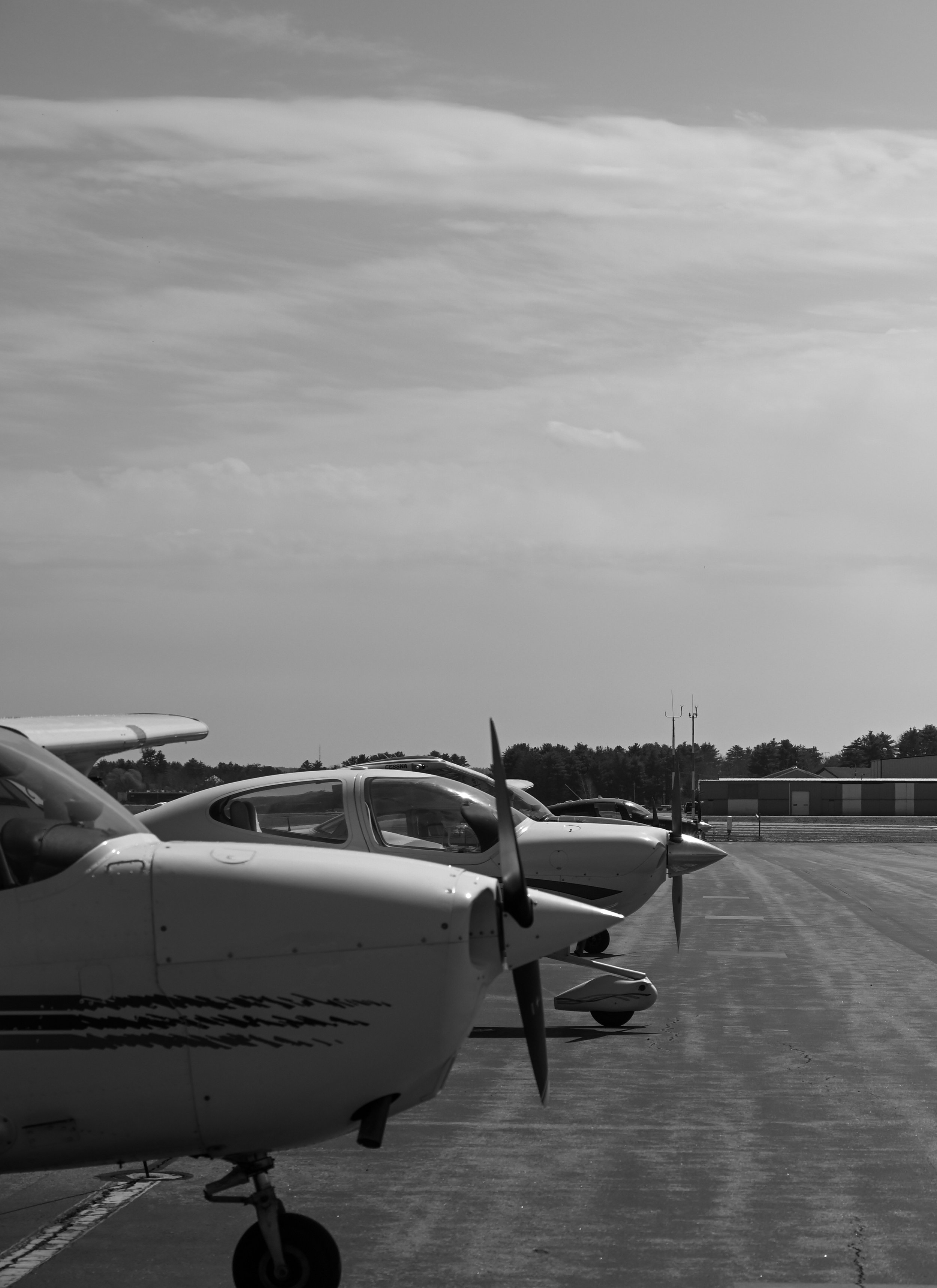 DSC_6938.jpg