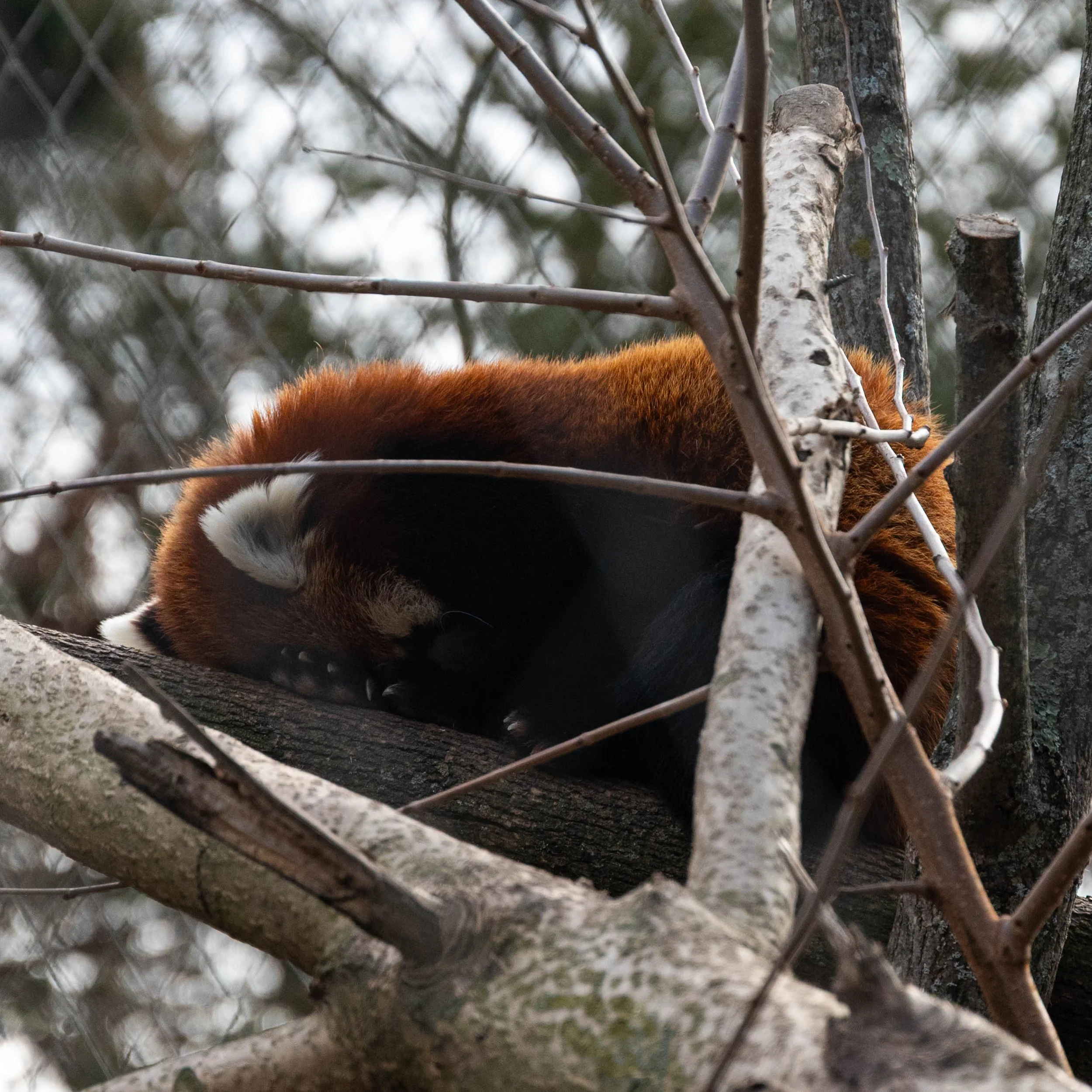 DSC_6197.jpg