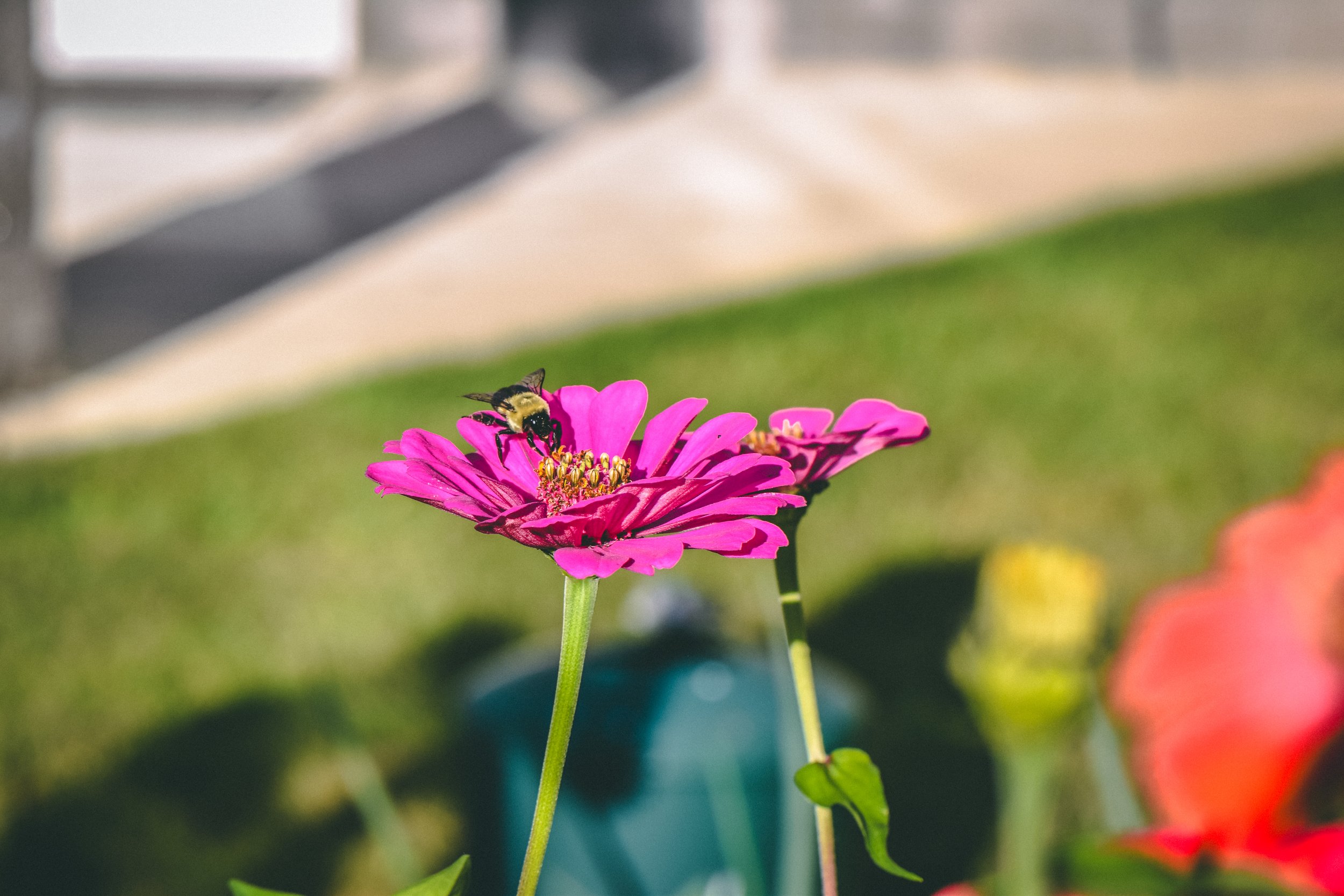 9_DSC_0005.jpg