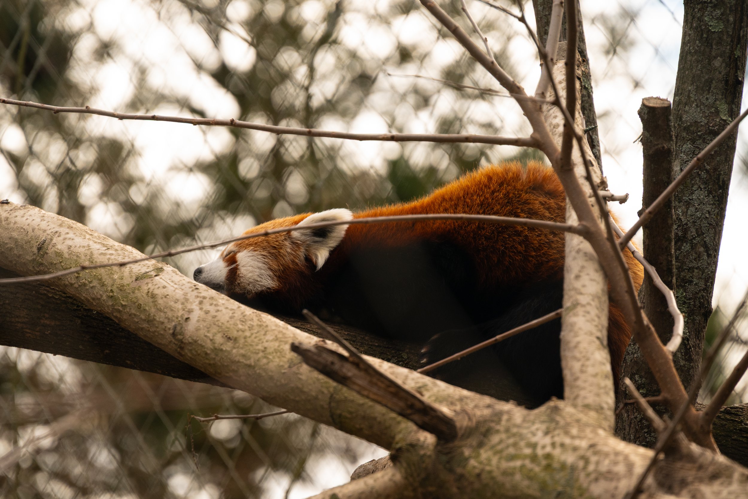 DSC_9056.jpg