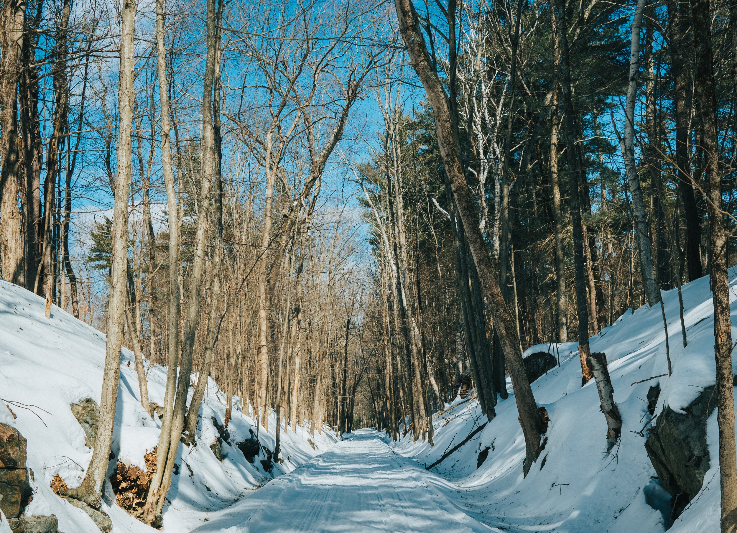 DSC_1621.jpg