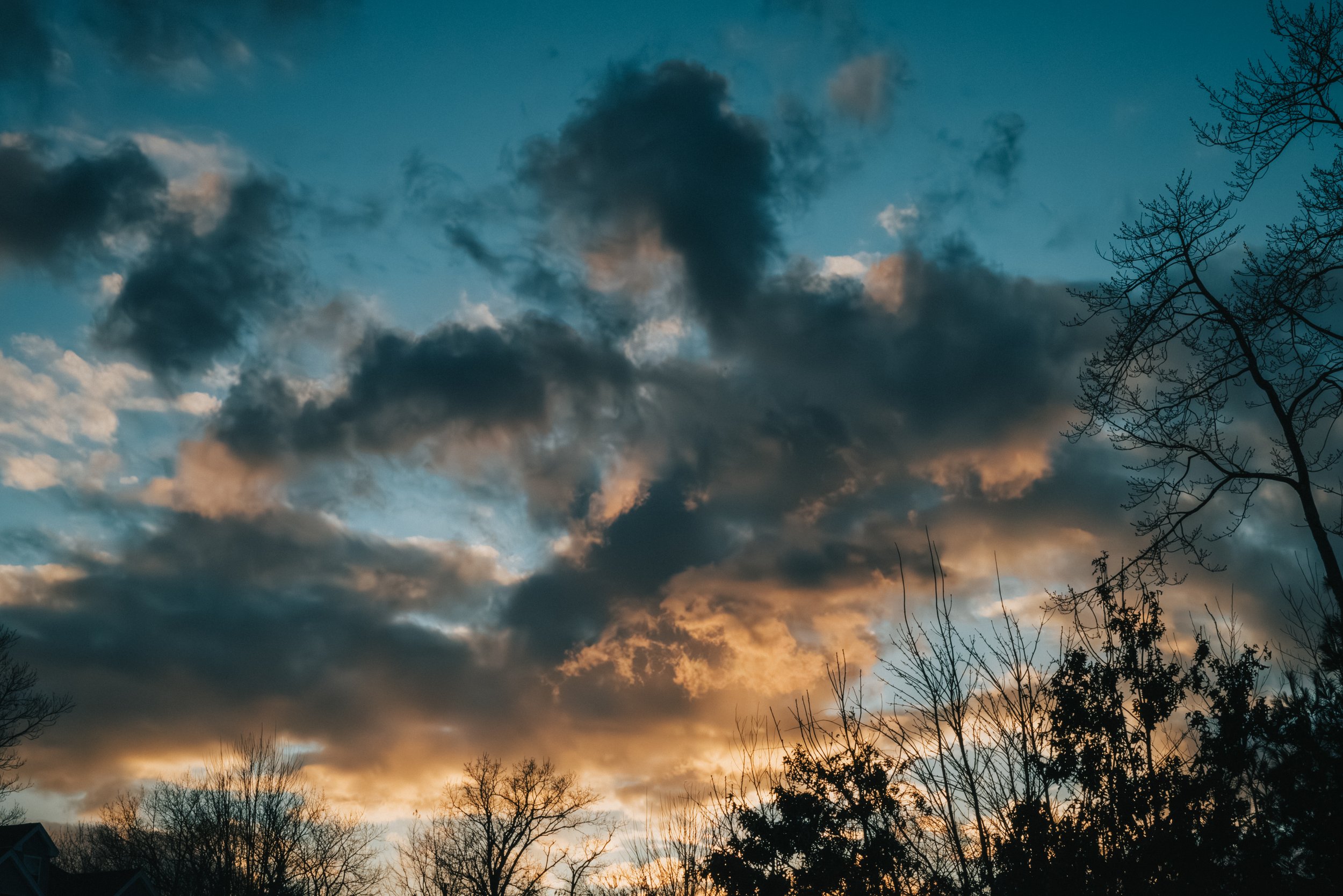 2_DSC_0255-Enhanced-NR.jpg