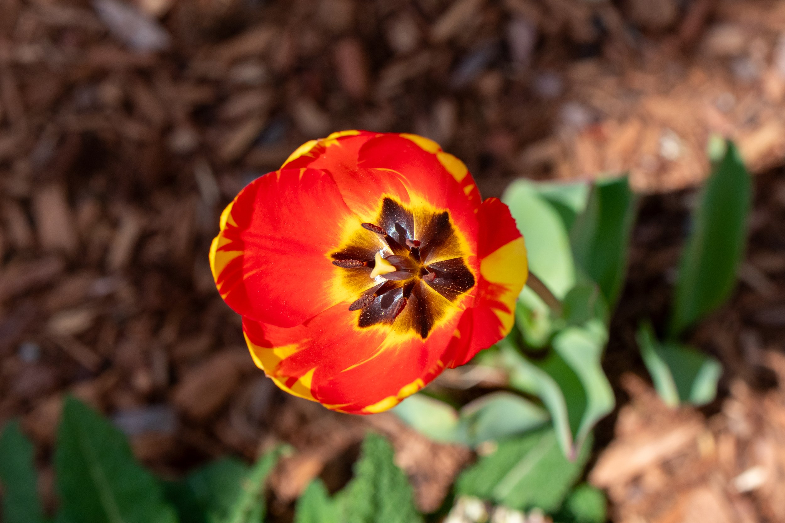 DSC_8825.jpg