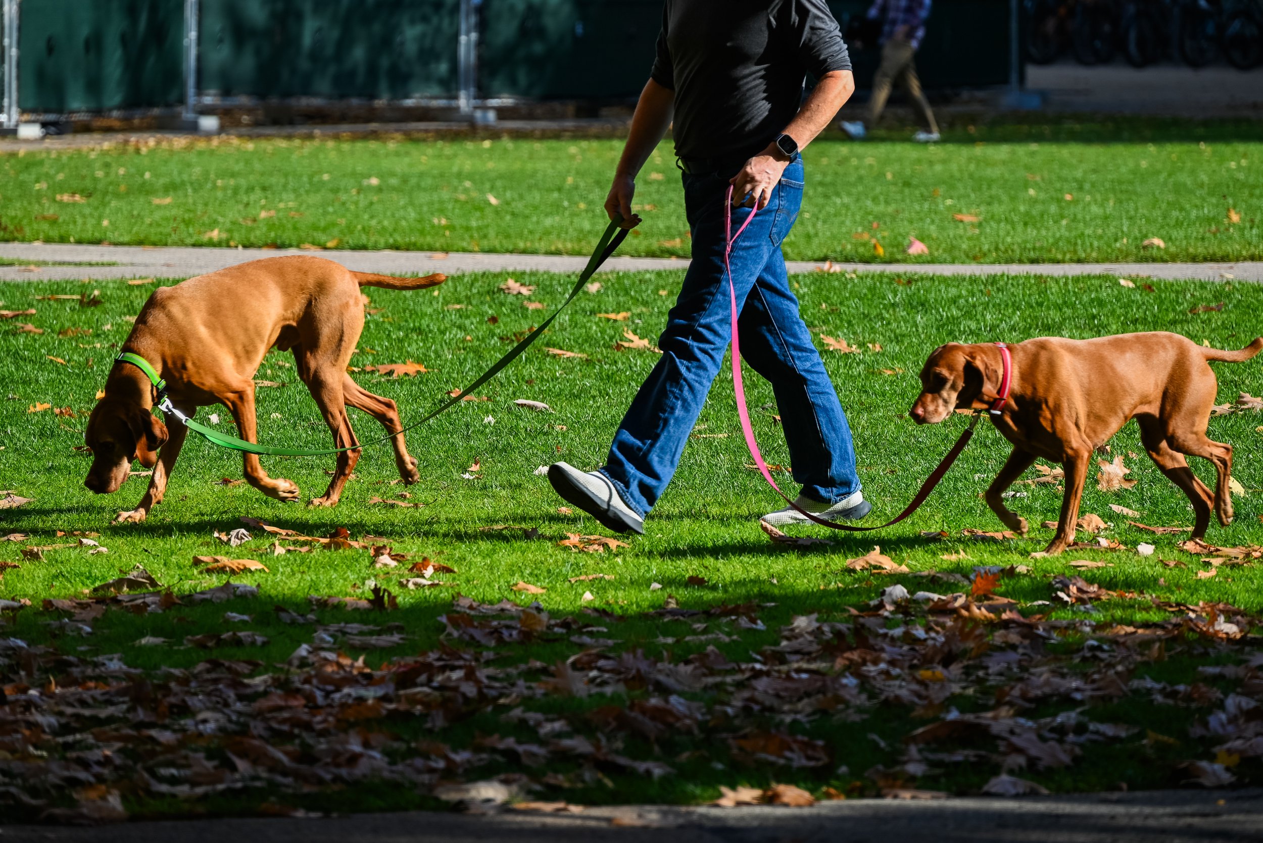 5_DSC_0355.jpg