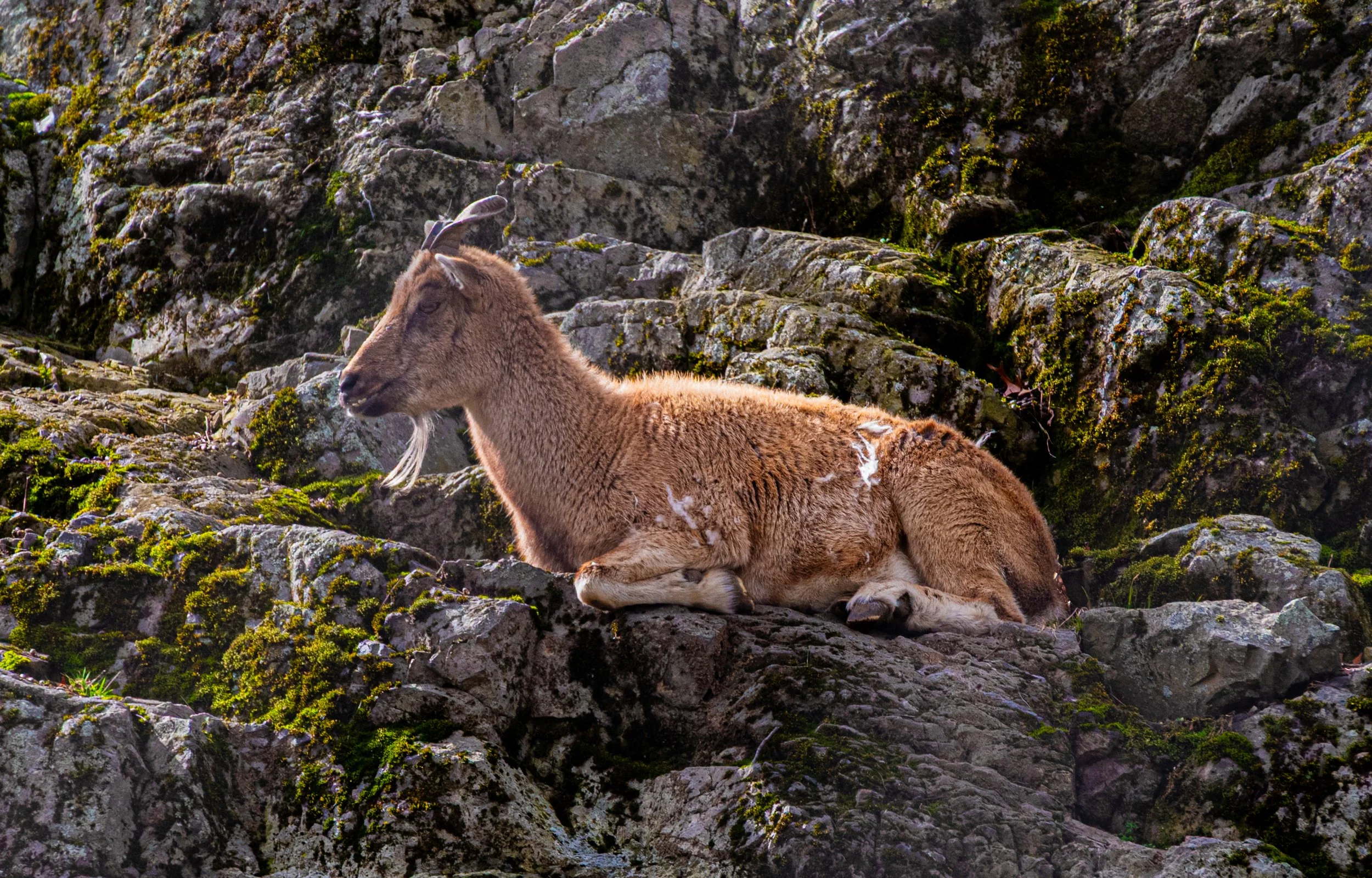 DSC_3642.jpg