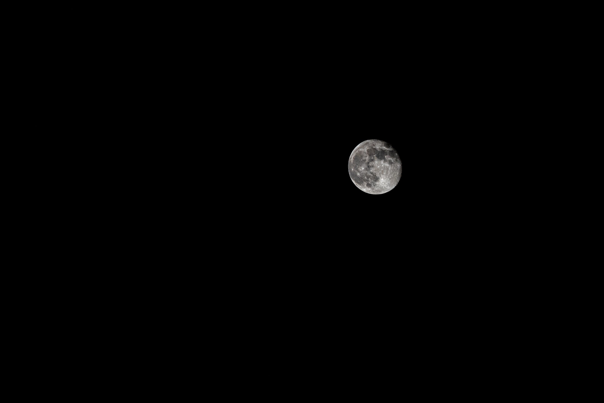 14 DSC_1360.jpg