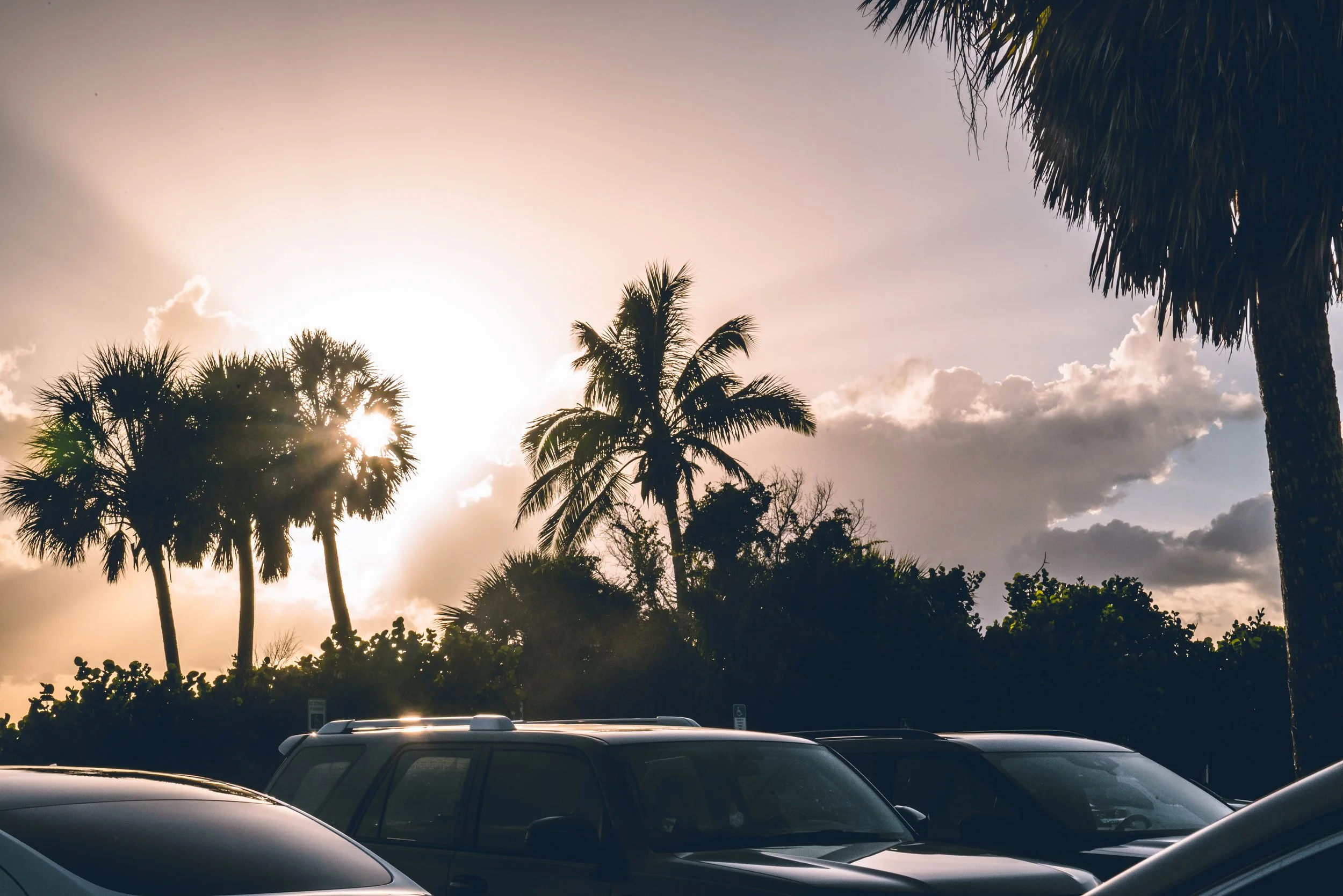 Colton Oliver Dramatic lighting