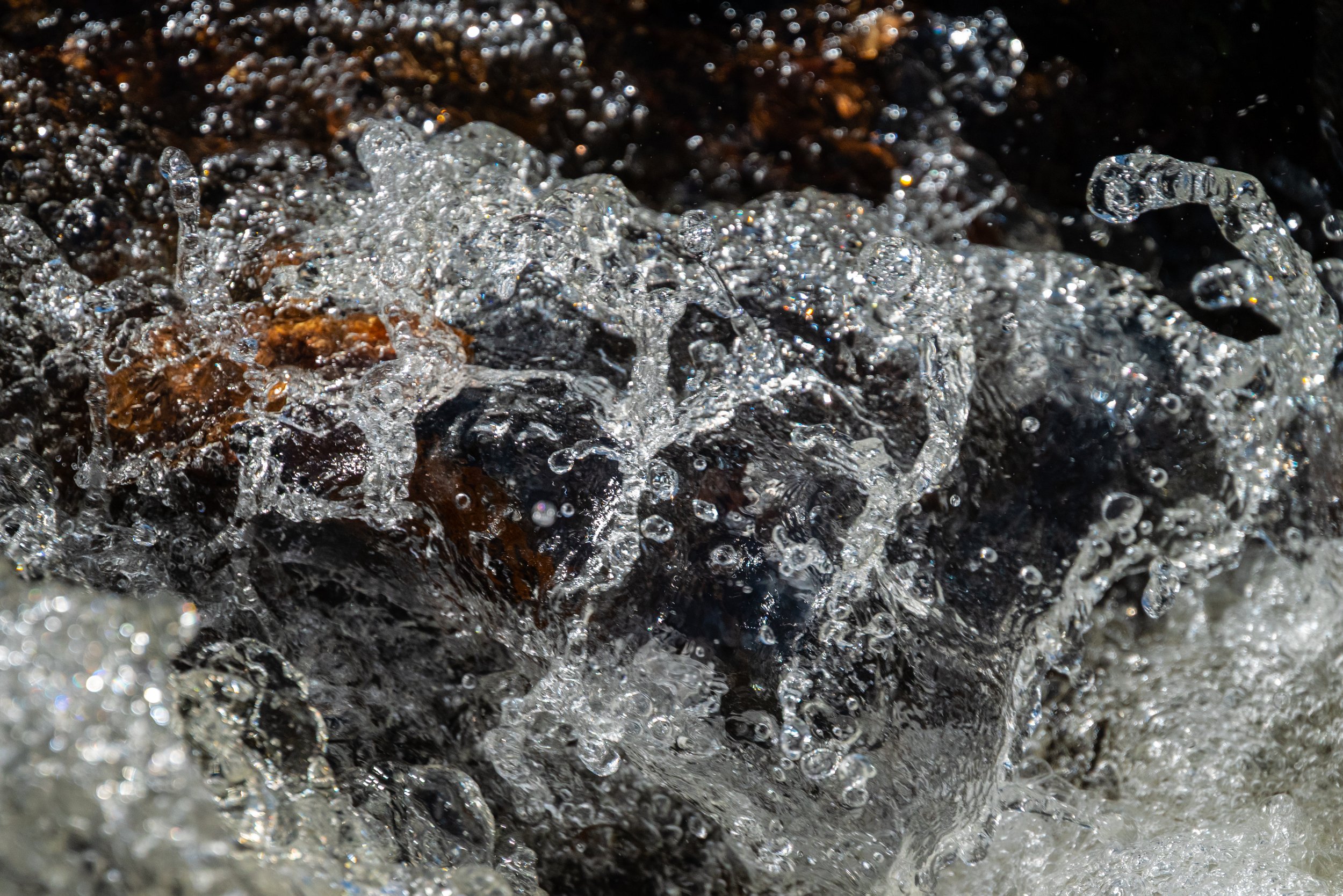 DSC_8648.jpg