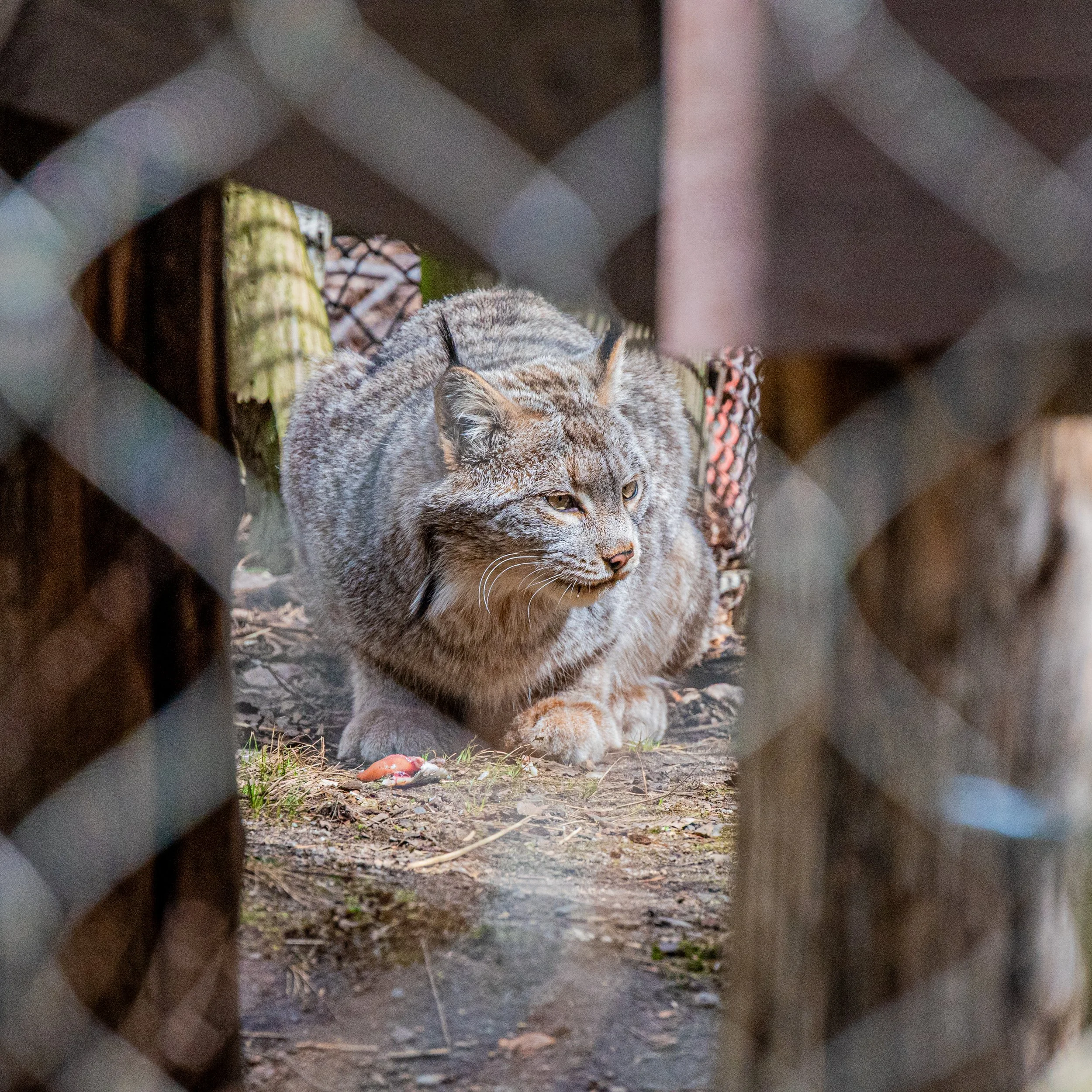 zoo 11.jpg