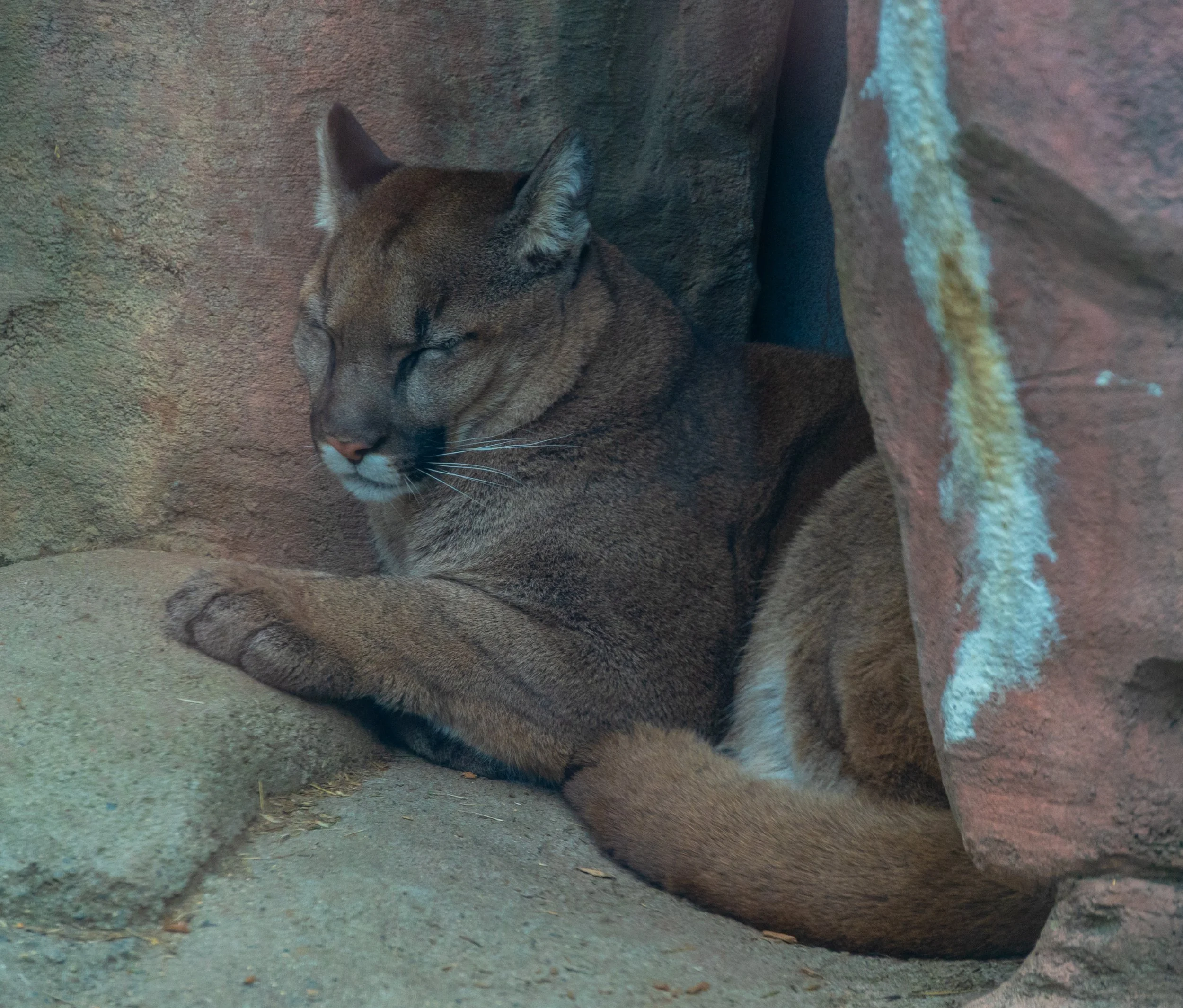 DSC_3580.jpg