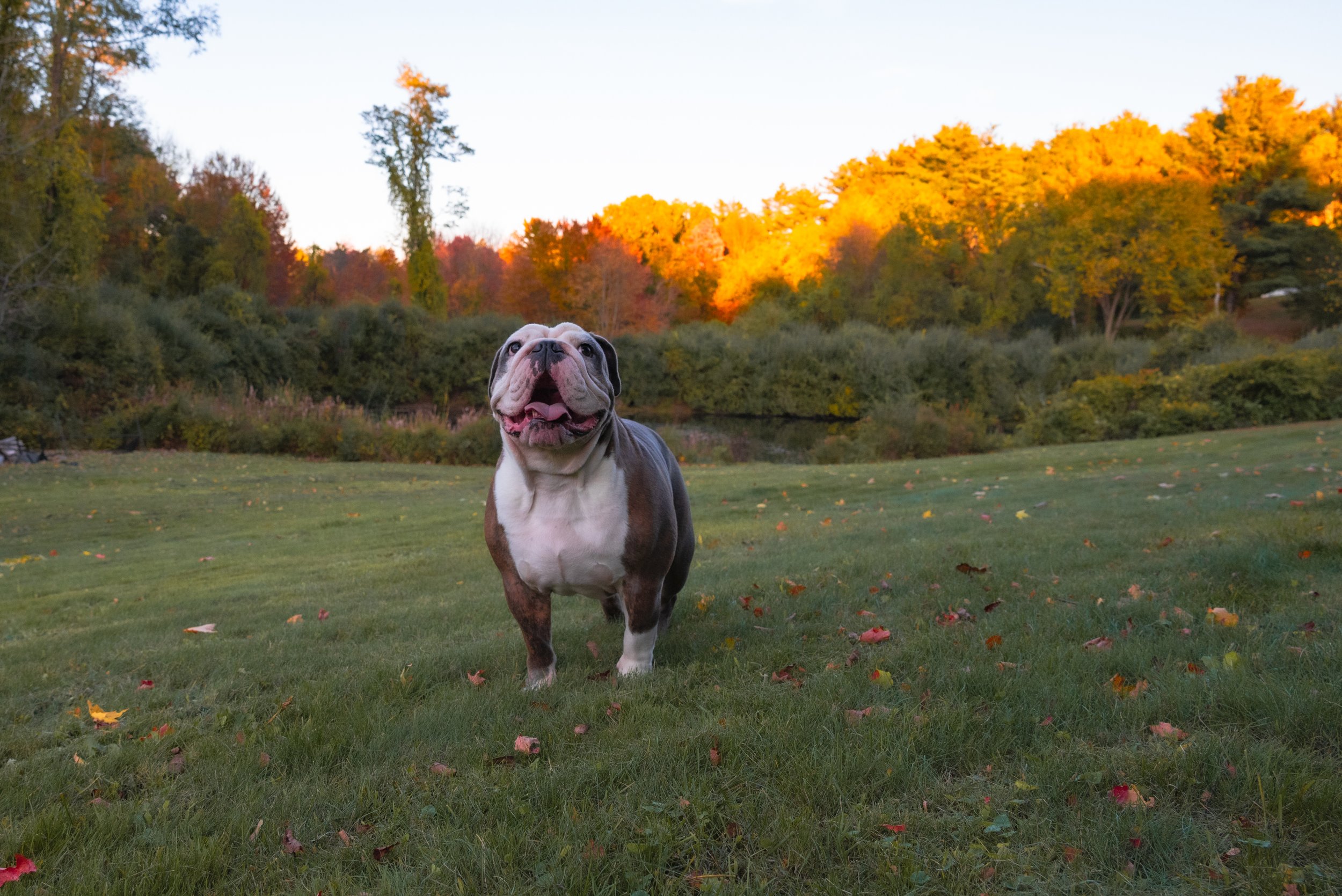 DSC_4107.jpg