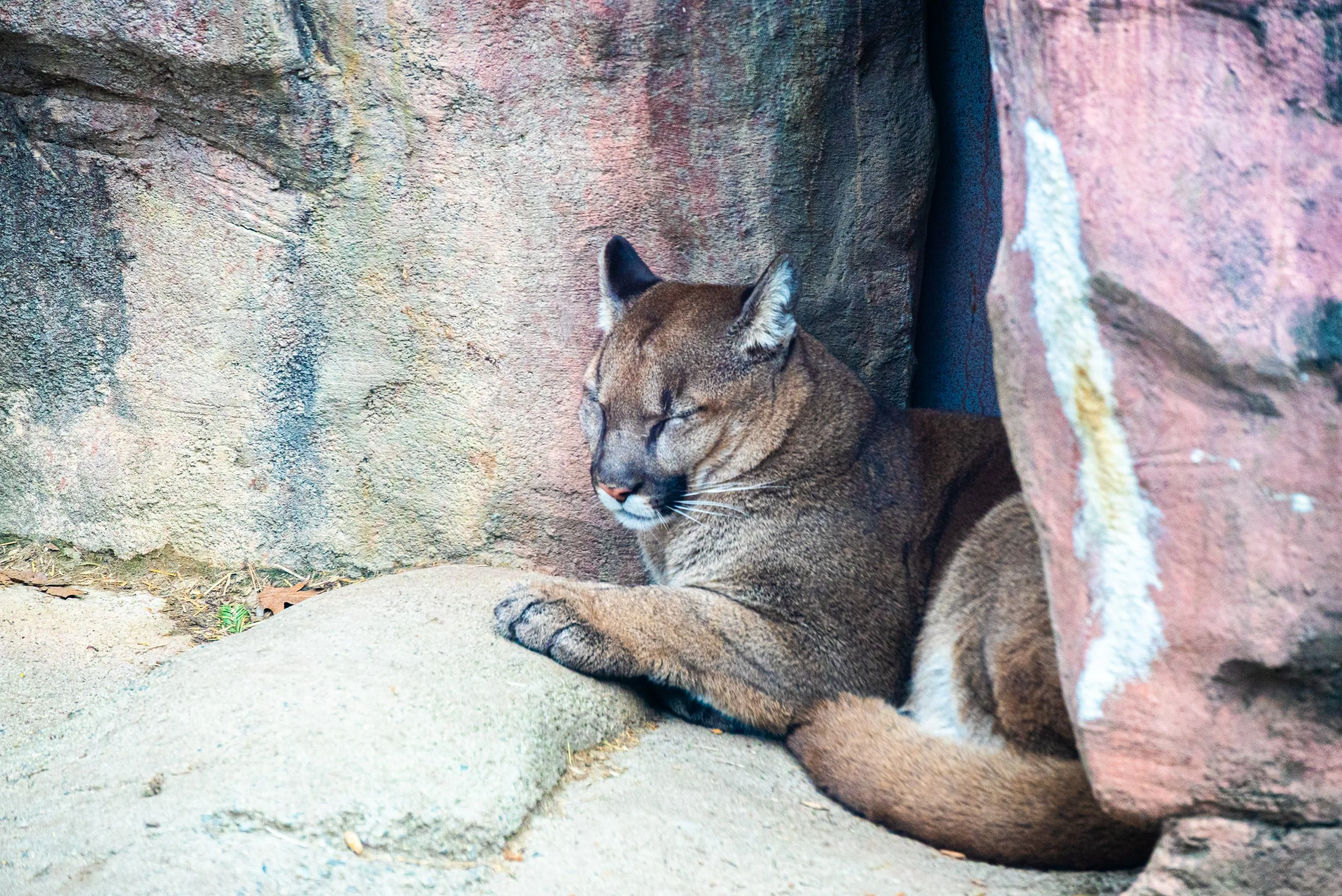 zoo 24.jpg
