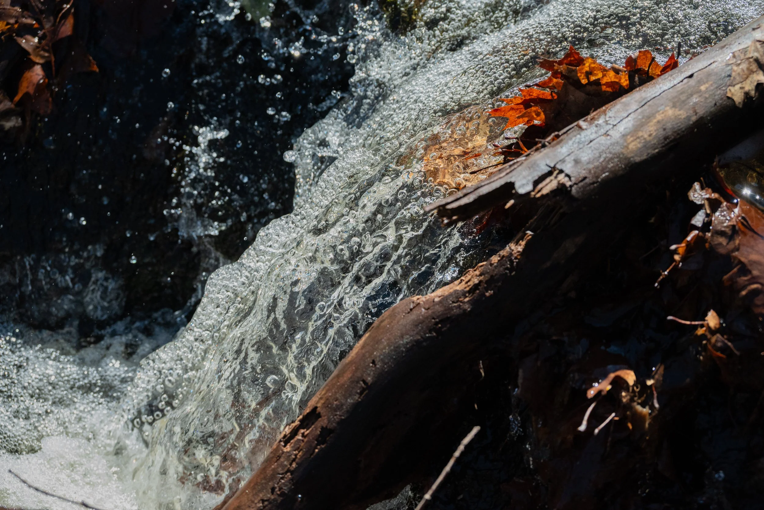 DSC_8727-2.jpg